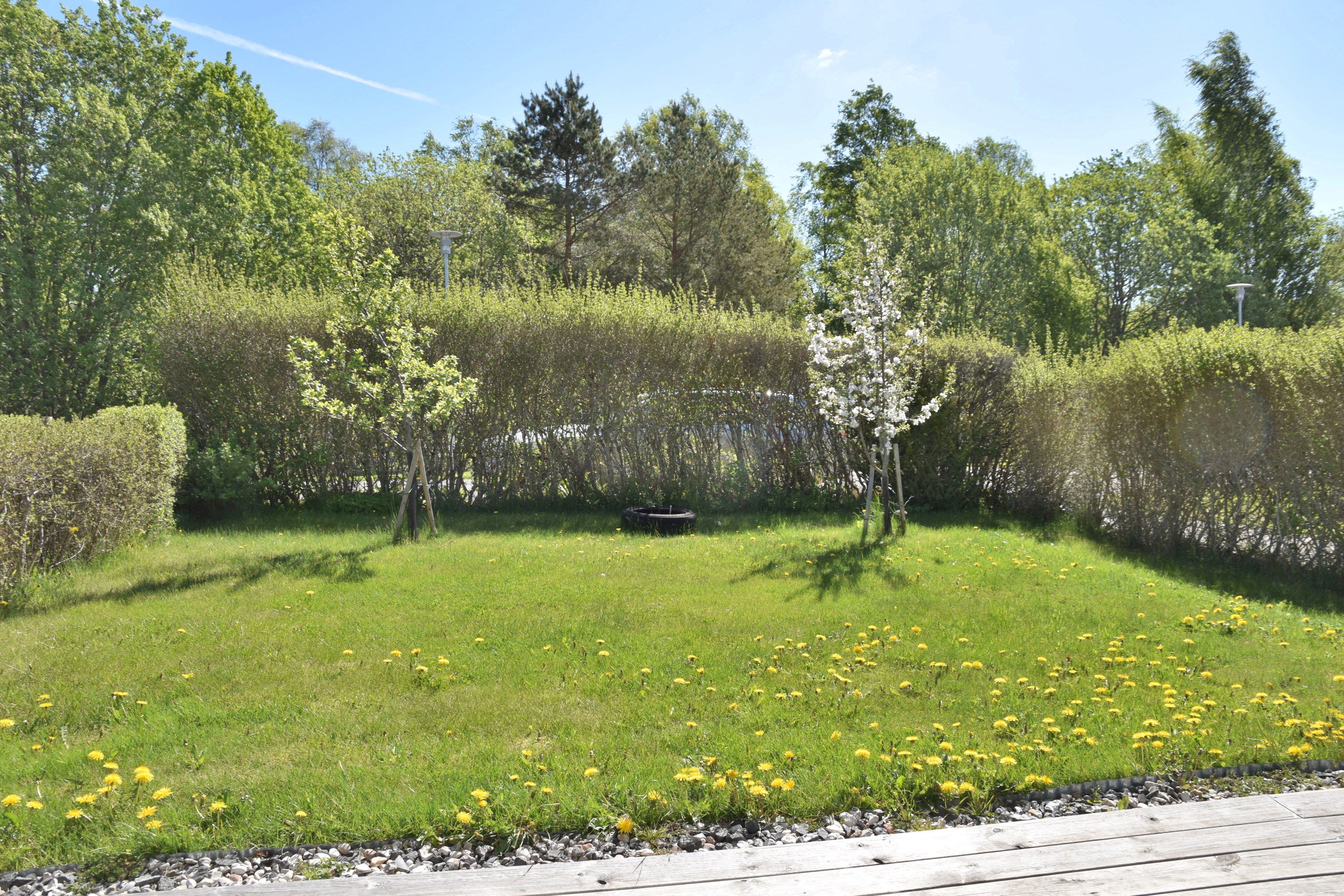 Trädgården