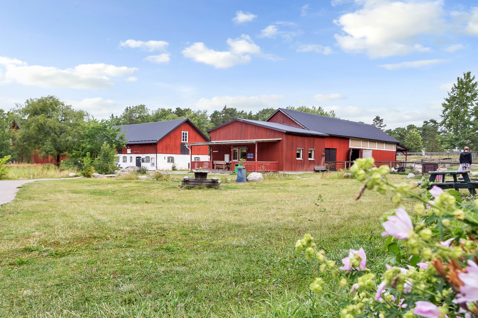 4-H gården i Gränby