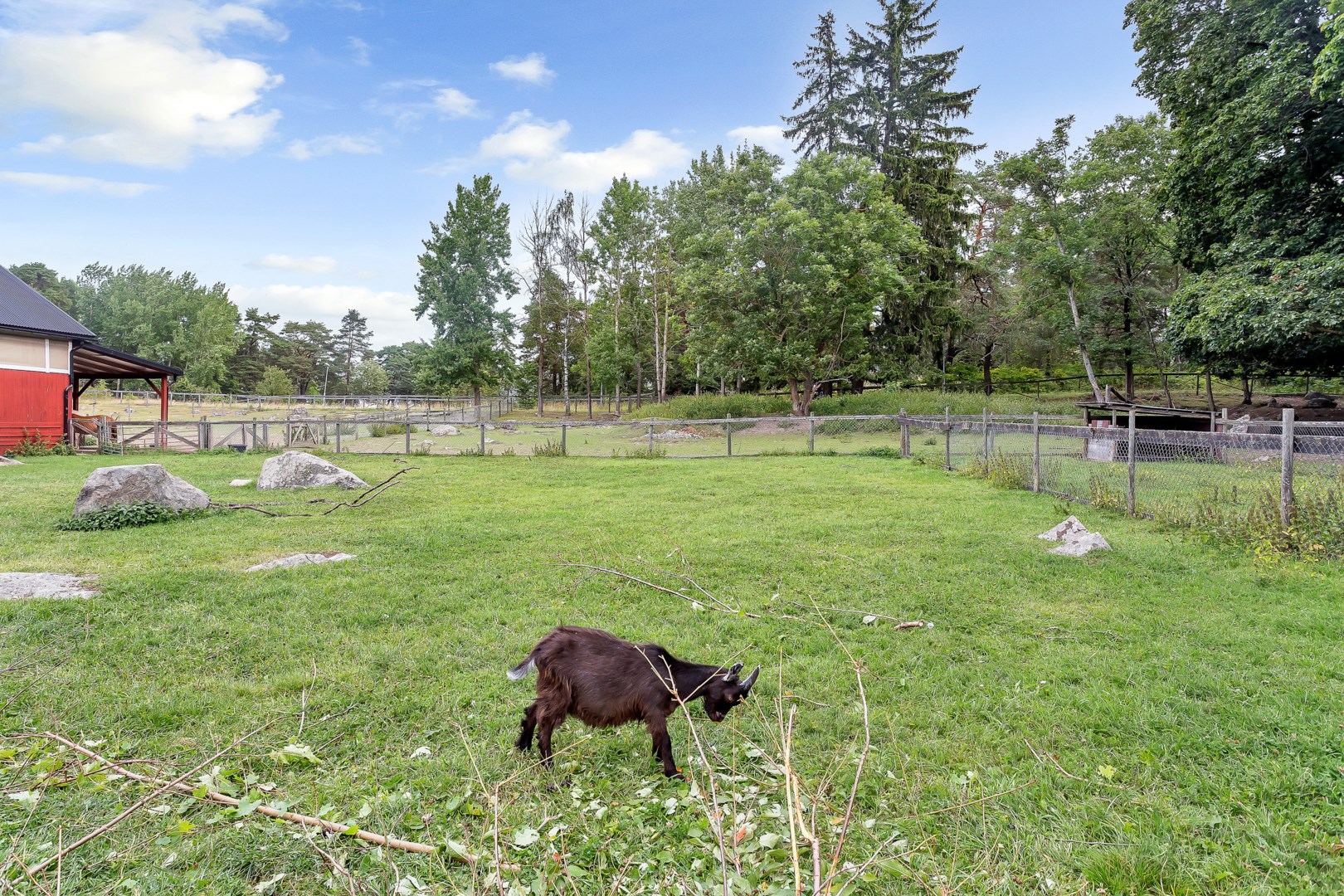 4-H gården i Gränby
