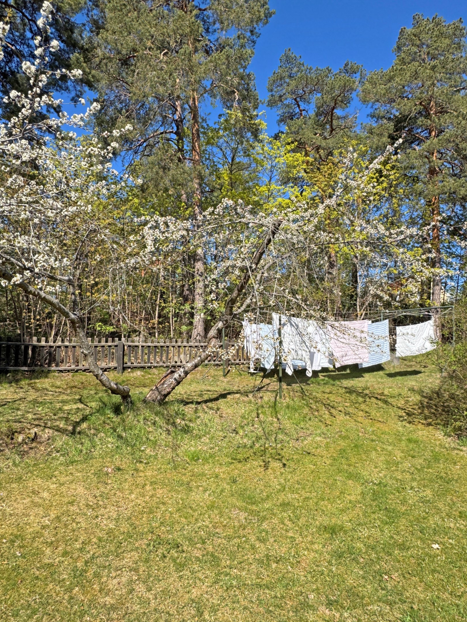 Bostadsbild från Alviksvägen 80, Till salu i Bromma - Äppelviken, Stockholm