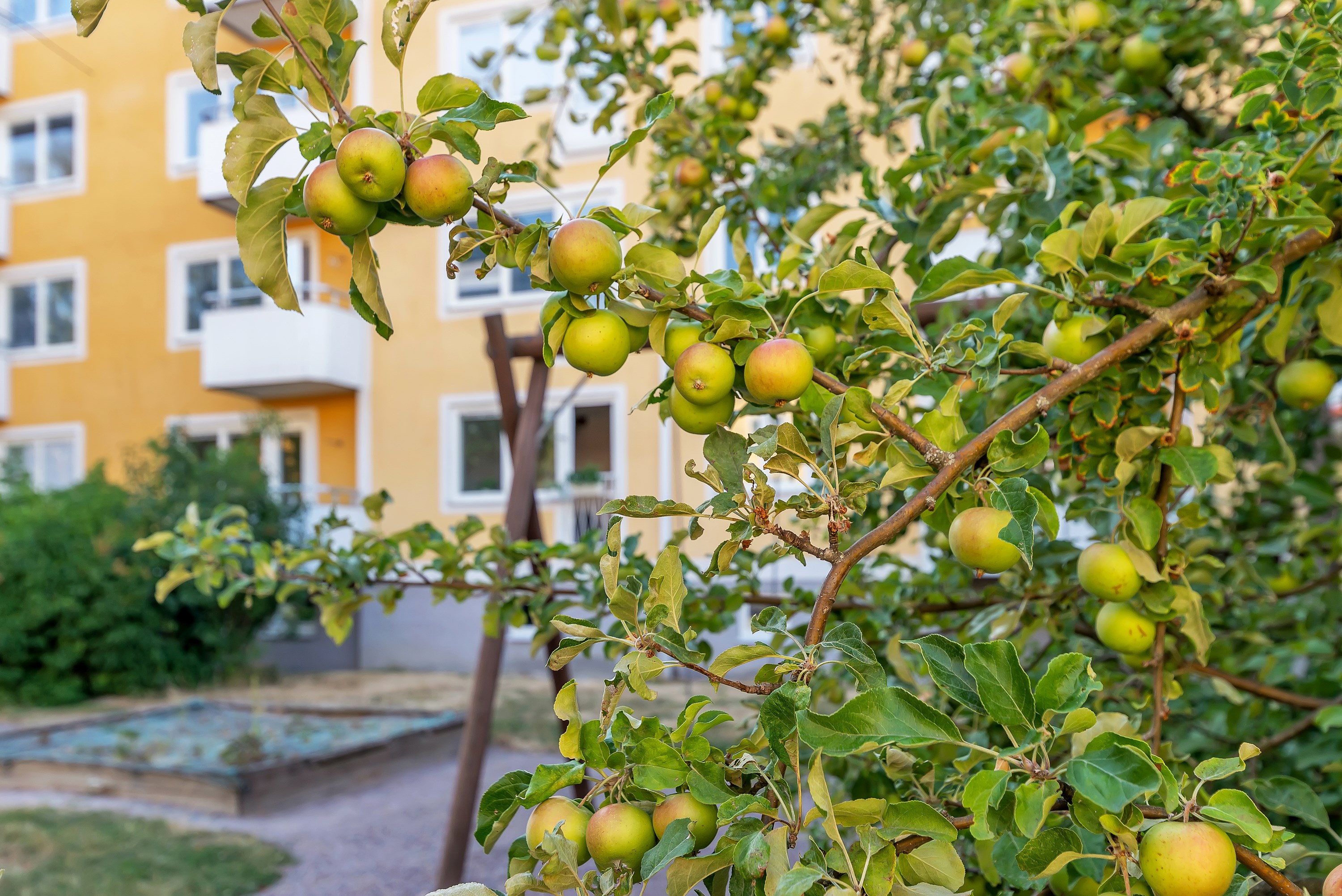 Bostadsbild från Torkelsgatan 38C, Till salu i Höganäs, Uppsala