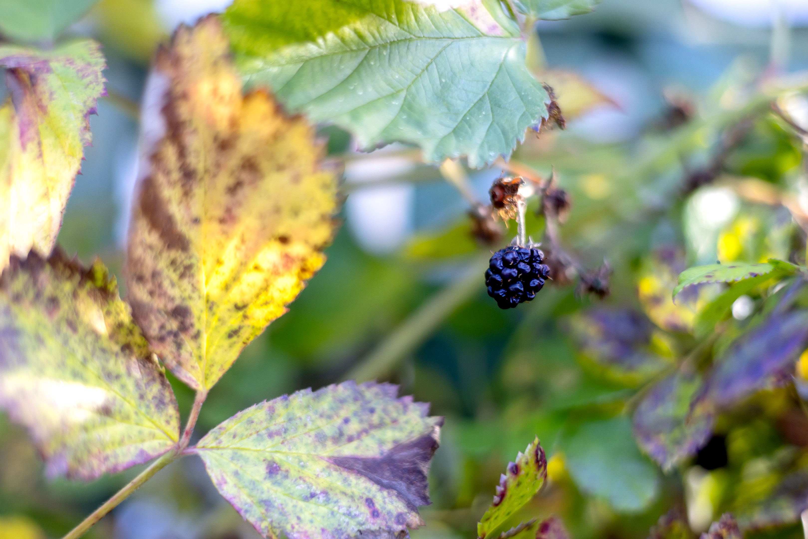 Bostadsbild från Björkgatan 27B, Snart till salu i Fålhagen, Uppsala