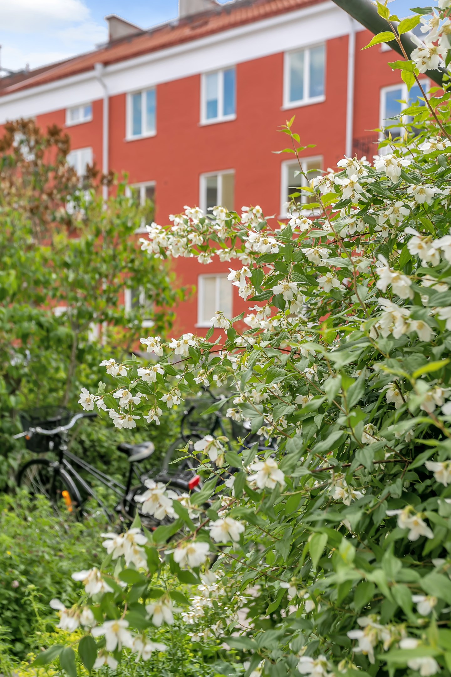 Bostadsbild från S:t Göransgatan 31 C, Kommande i Fålhagen, Uppsala