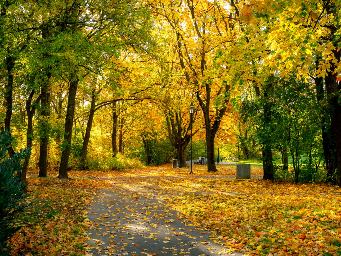 Bostadsbild från Dansbanevägen 49, Kommande i Västberga-Telefonplan, Stockholm