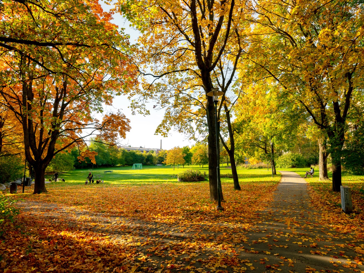 Bostadsbild från Dansbanevägen 49, Kommande i Västberga-Telefonplan, Stockholm