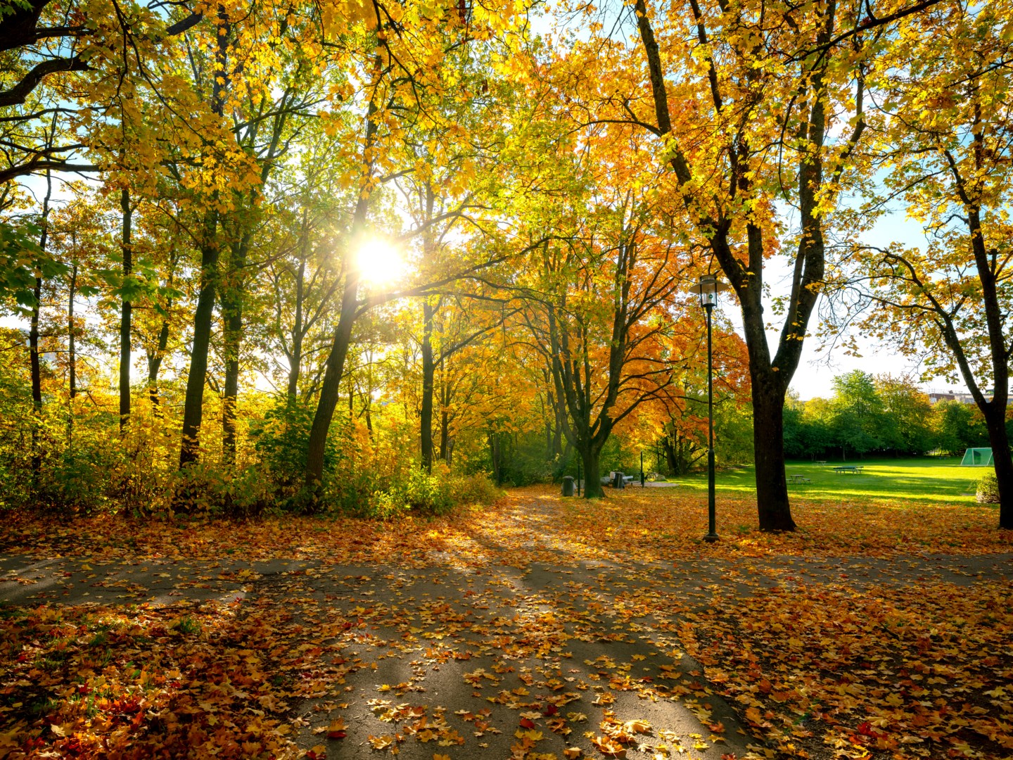 Bostadsbild från Dansbanevägen 49, Kommande i Västberga-Telefonplan, Stockholm