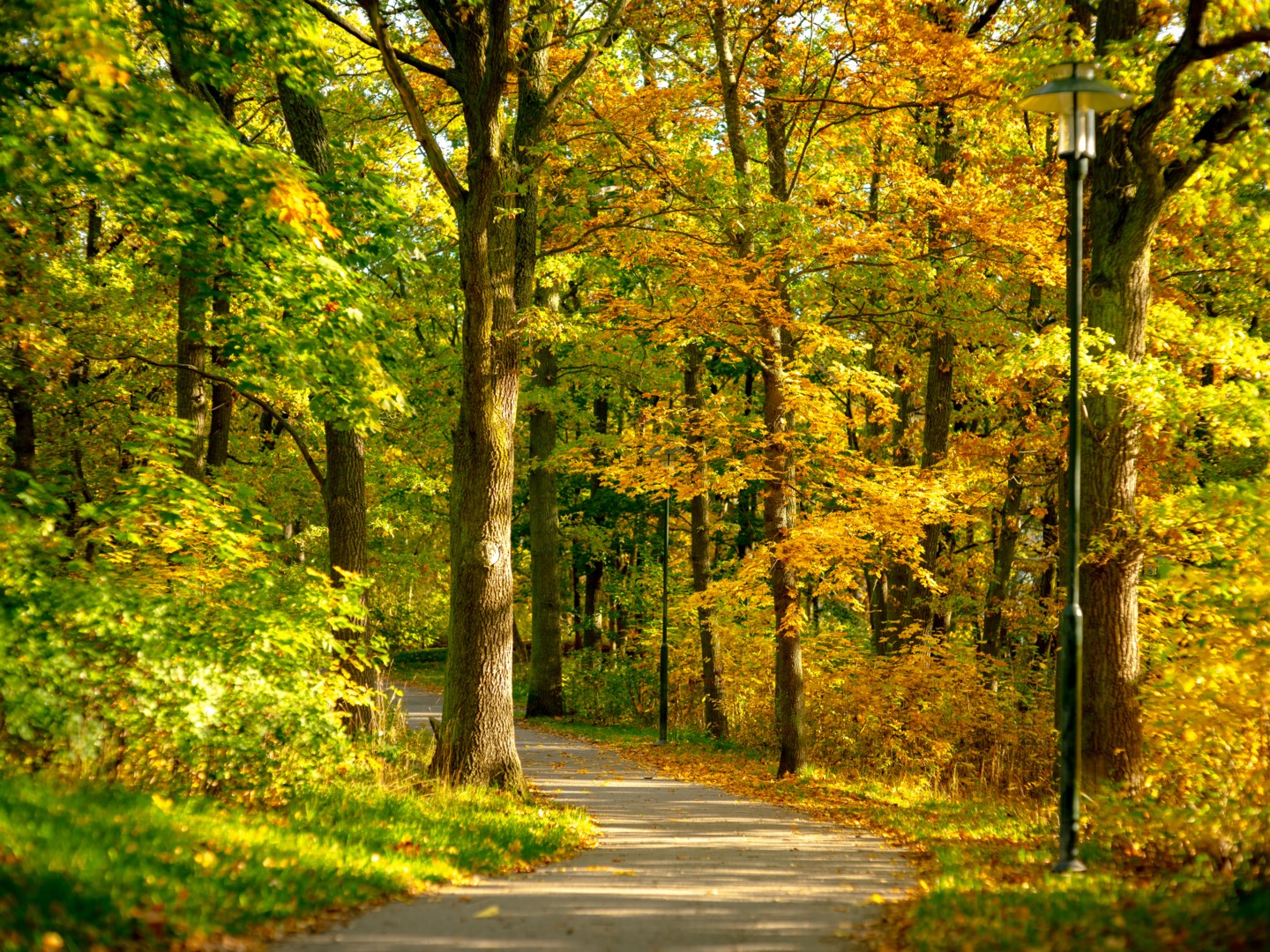 Bostadsbild från Dansbanevägen 49, Kommande i Västberga-Telefonplan, Stockholm