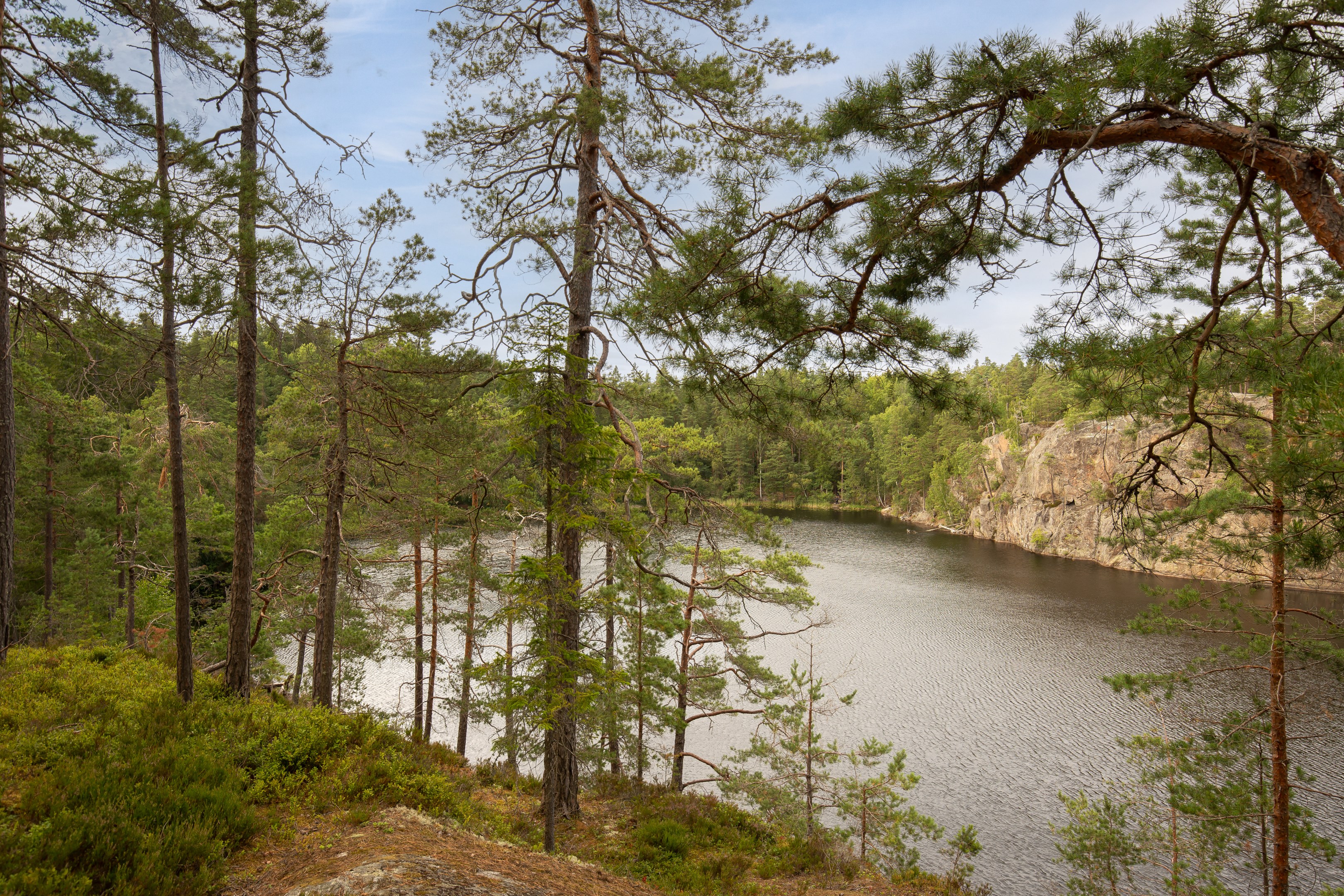 Abborrvägen 1D – bild 32