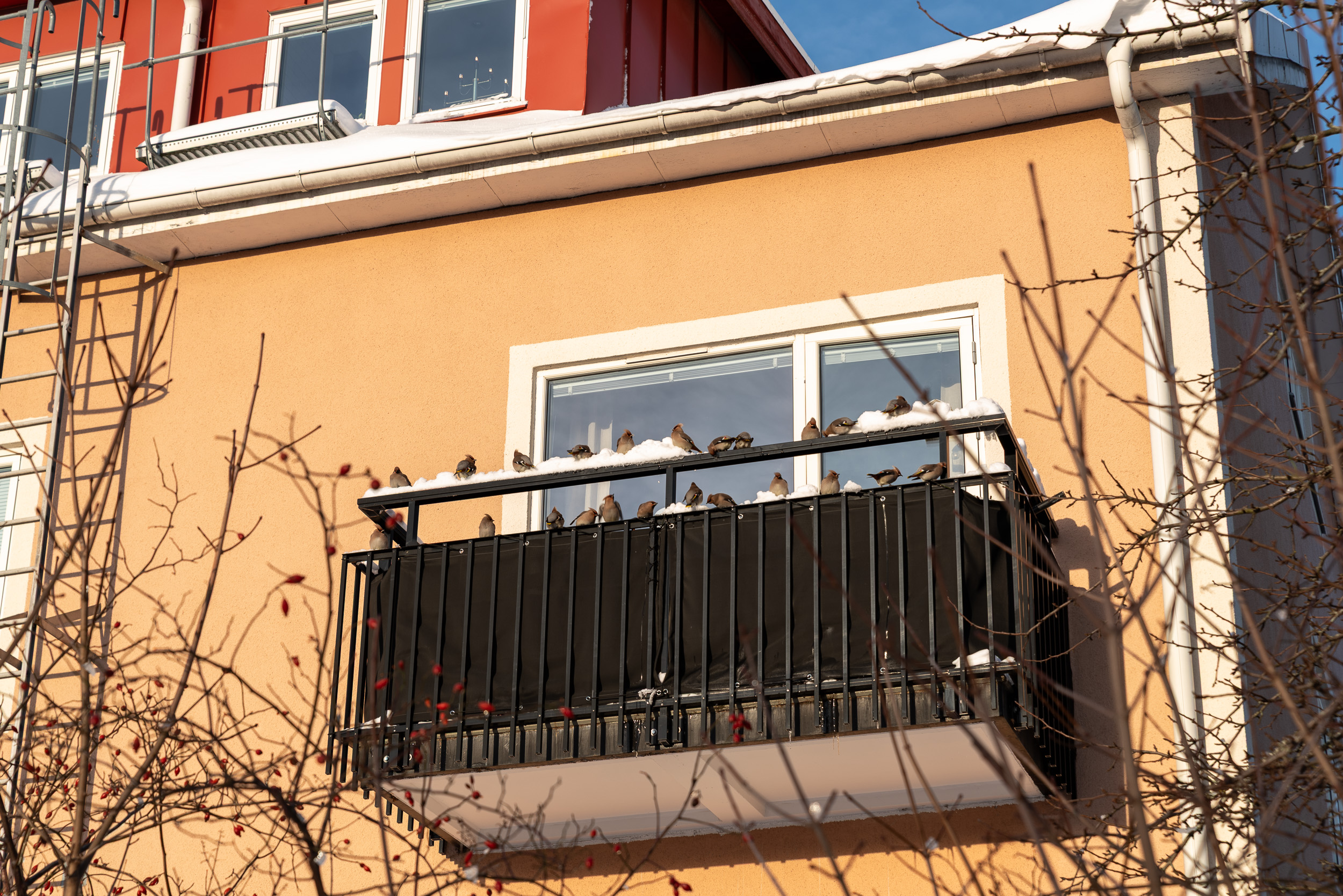 Tegnérgatan 11A – bild 25