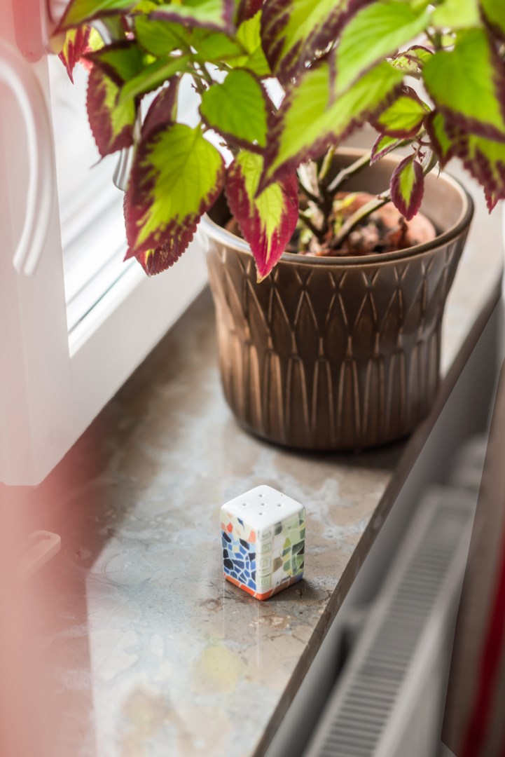 Bostadsbild från Plattgatan 6, Till salu i Luthagen, Uppsala