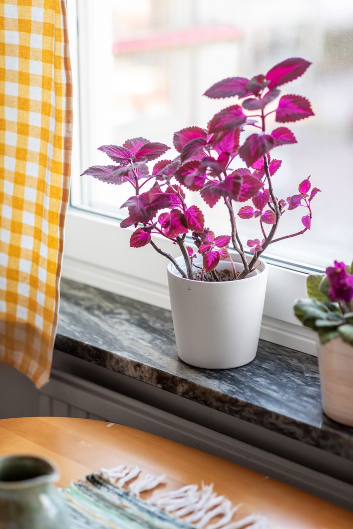 Bostadsbild från Ritargatan 4A, Kommande i Salabacke, Uppsala