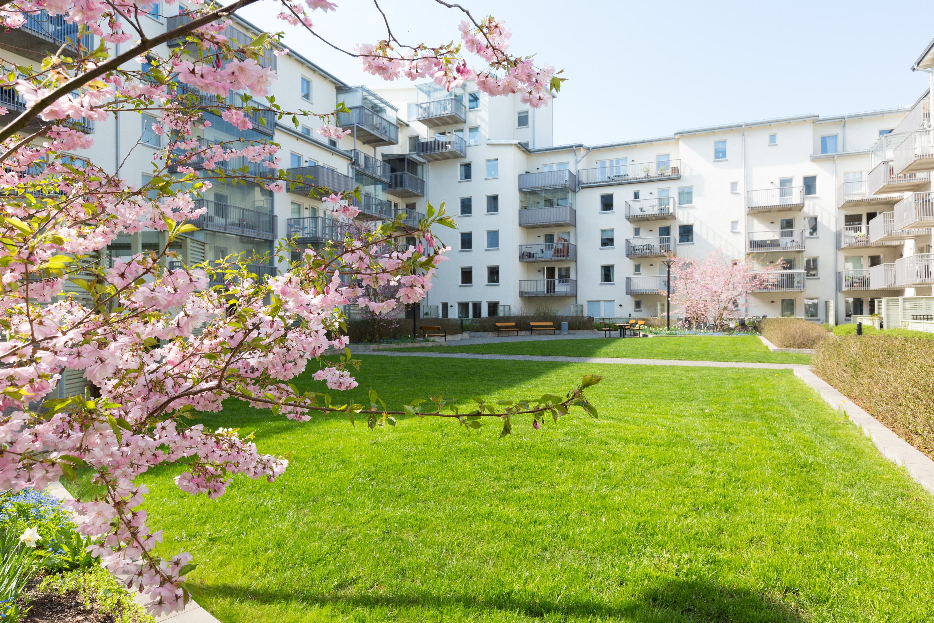 Bostadsbild från Torngatan 30, Kommande i Kapellgärdet, Uppsala