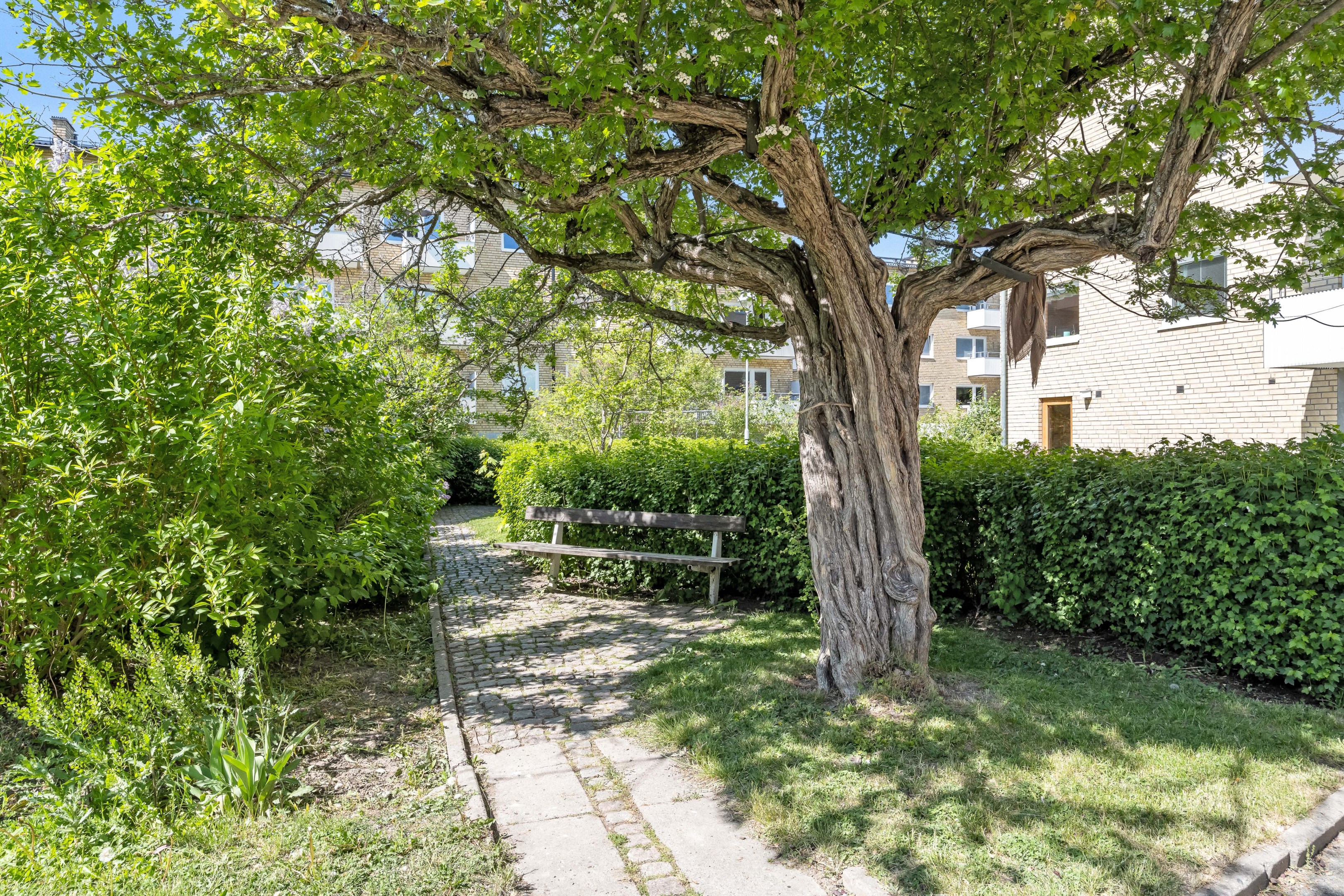 Bostadsbild från Ringgatan 45A, Kommande i Luthagen, Uppsala