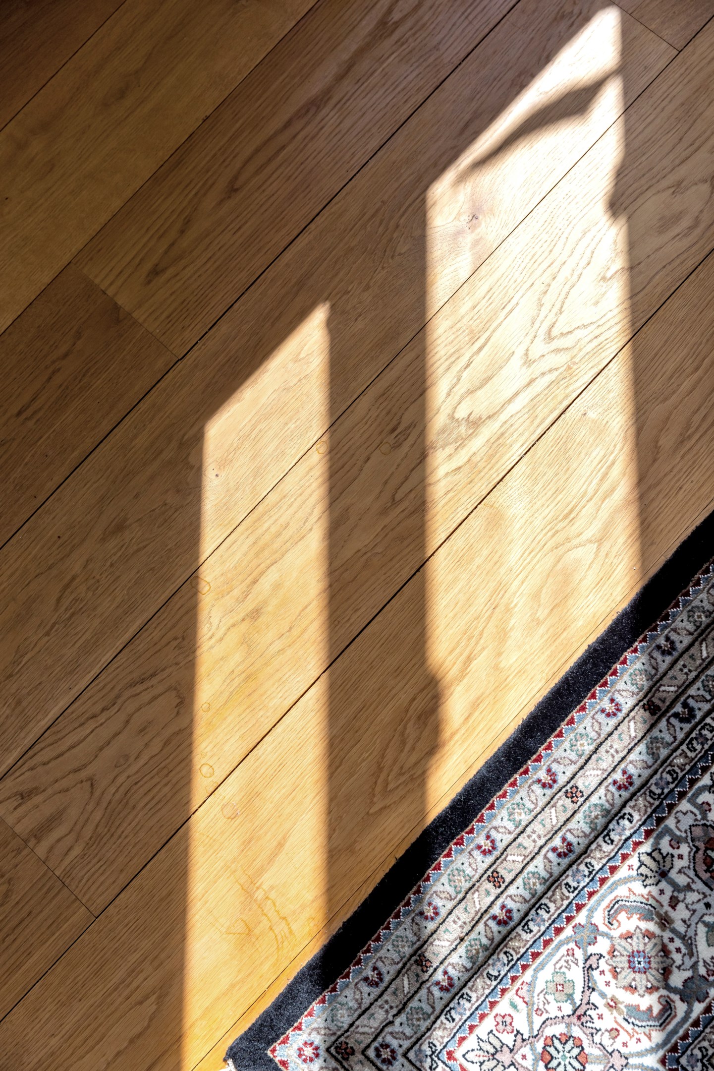 Bostadsbild från Vindhemsgatan 12A, Kommande i Luthagen, Uppsala
