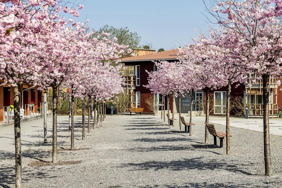Bostadsbild från Ekovägen 45E, Kommande i Sundbyberg - Duvbo, Sundbyberg