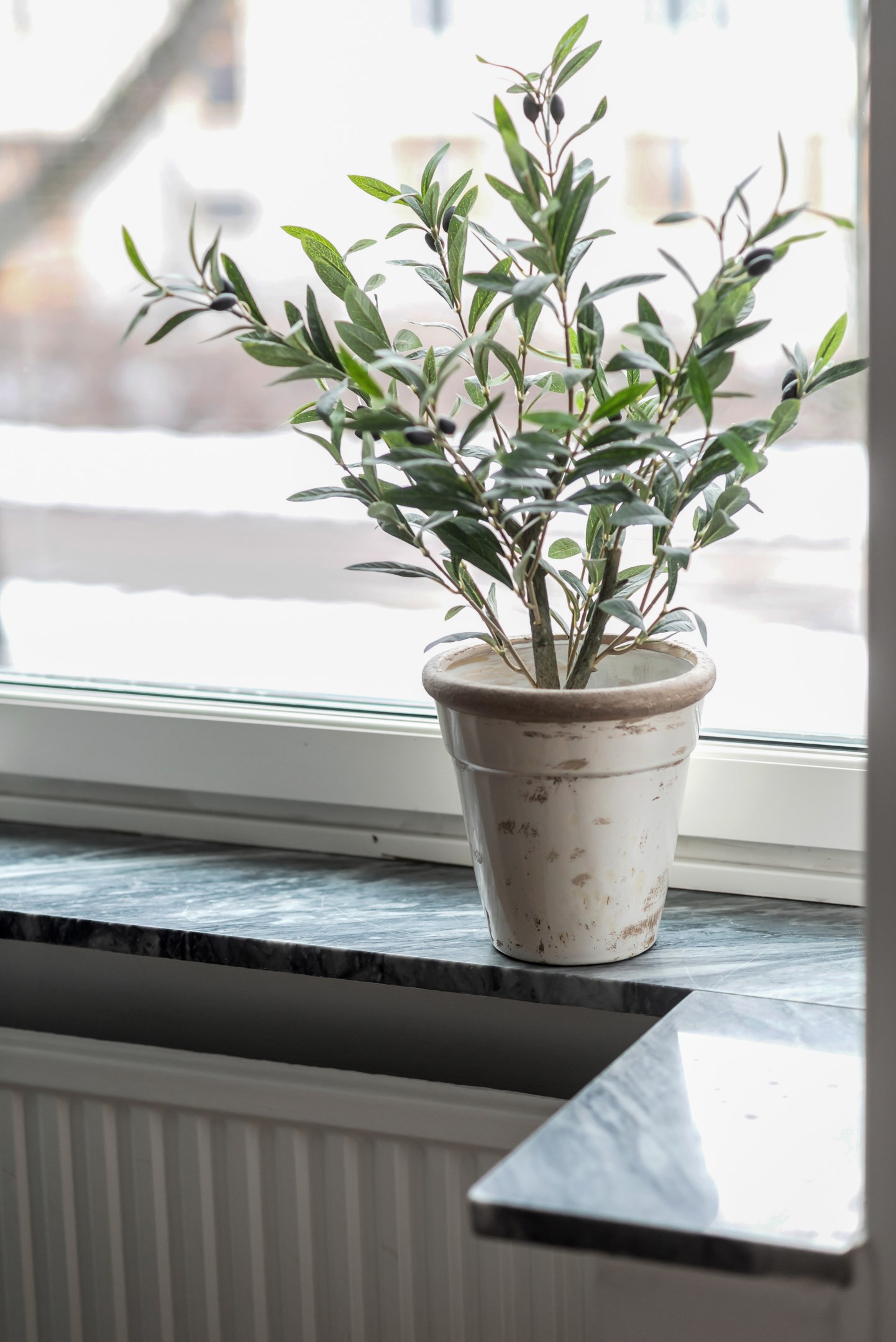 Bostadsbild från Luthagsesplanaden 16, Kommande i Luthagen, Uppsala