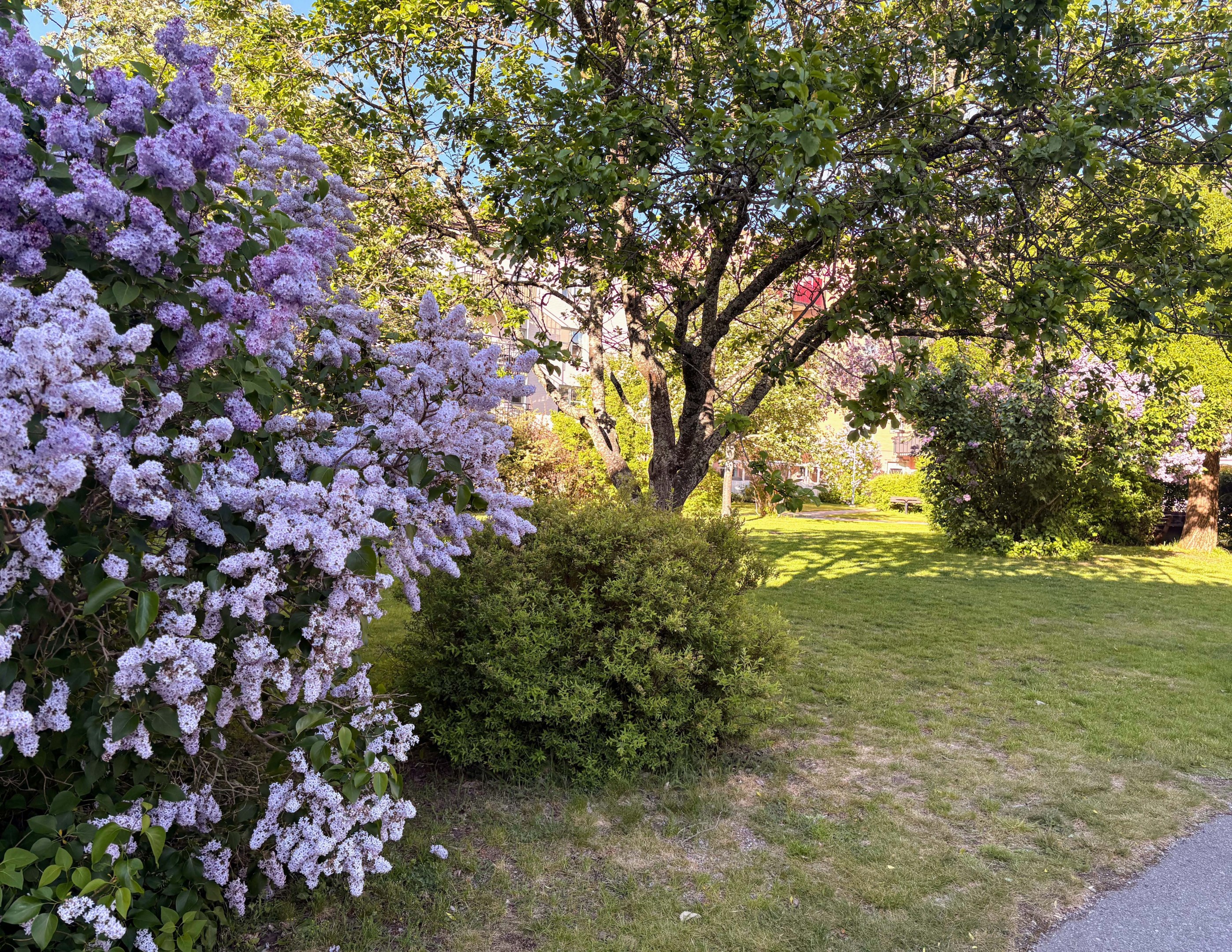 Bostadsbild från Bäckbornas väg 25, Till salu i Bromma - Beckomberga, Stockholm