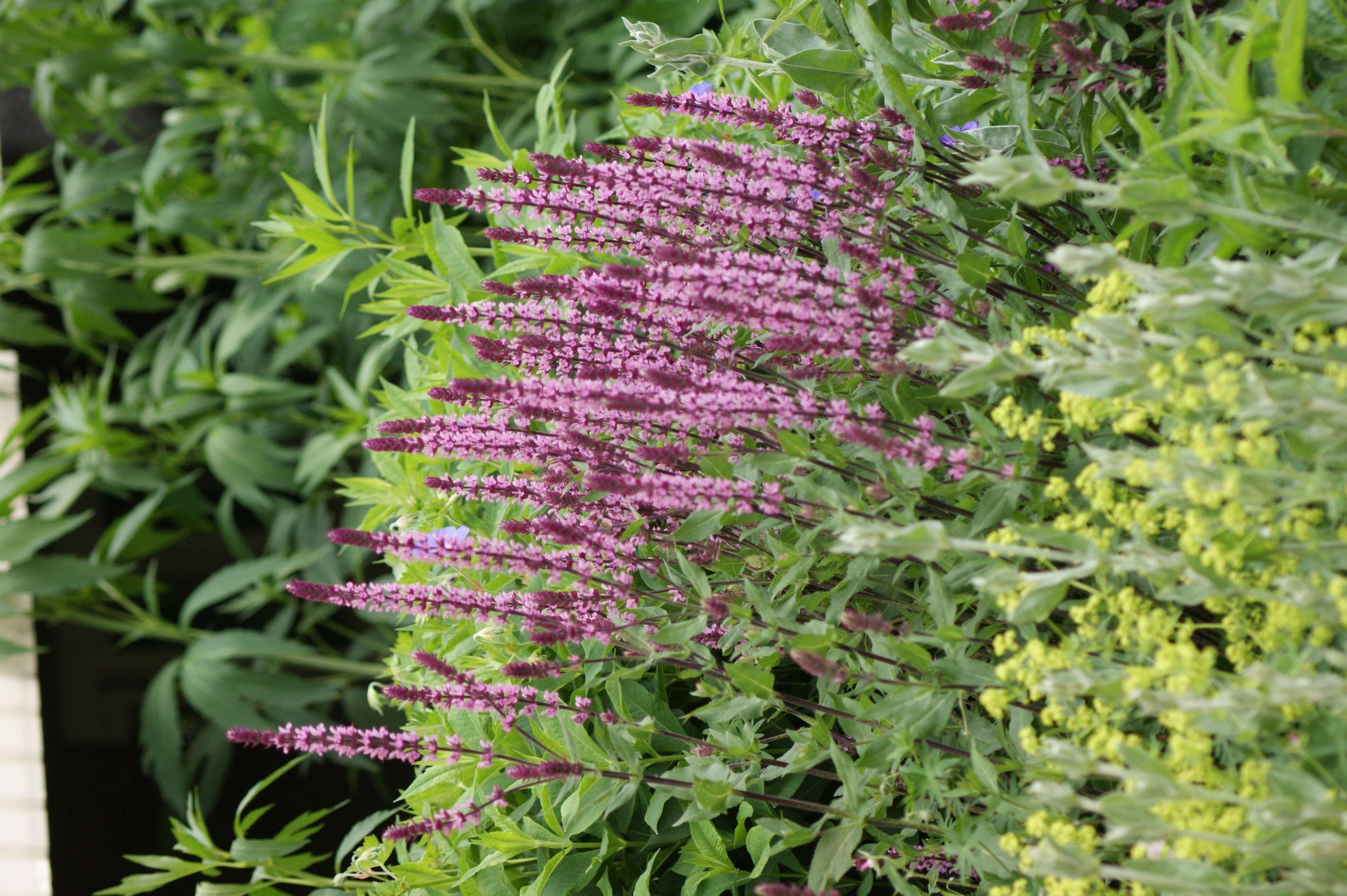 Bostadsbild från S:t Göransgatan 31C, Såld i Fålhagen, Uppsala