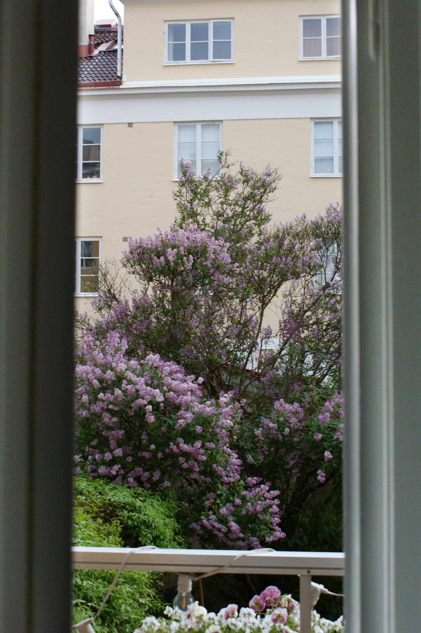 Bostadsbild från S:t Göransgatan 31C, Såld i Fålhagen, Uppsala