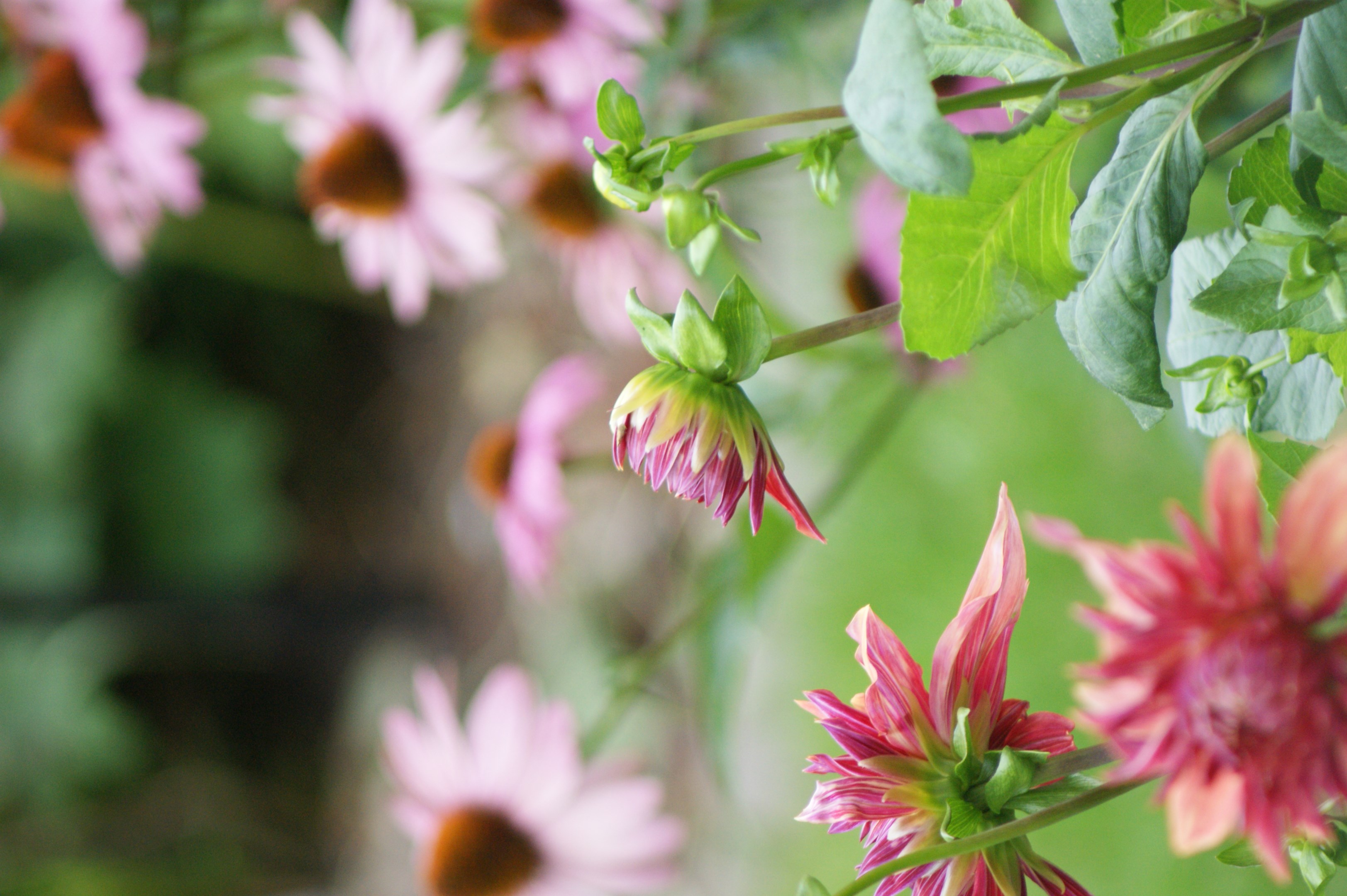 Bostadsbild från S:t Göransgatan 31C, Såld i Fålhagen, Uppsala