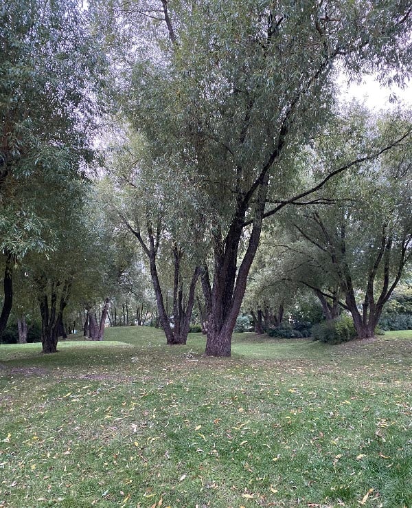 Bostadsbild från Fänkålsgatan 10, Såld i Årsta, Uppsala