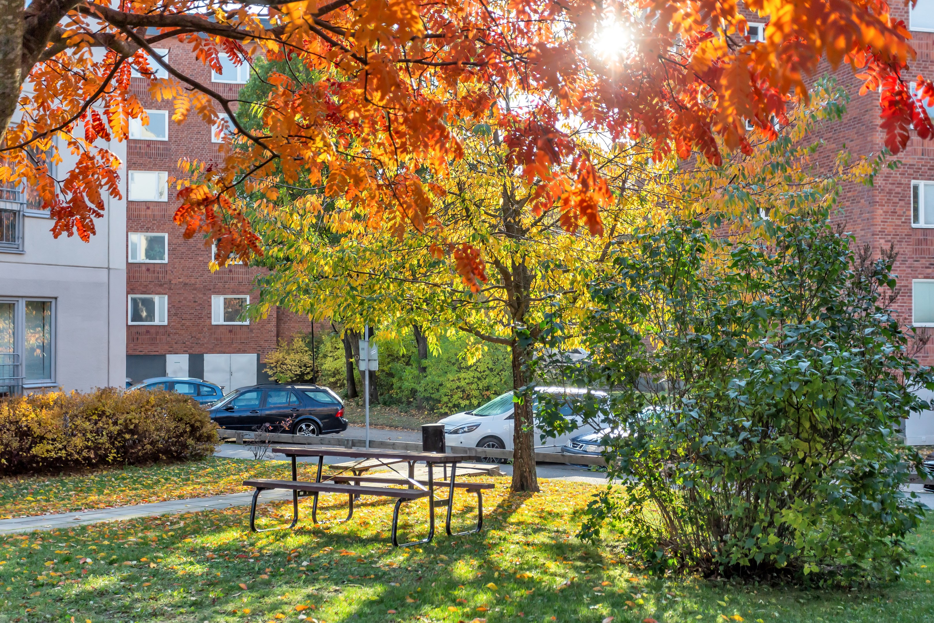 Bostadsbild från S:t Johannesgatan 36C, Kommande i Rackarberget, Uppsala