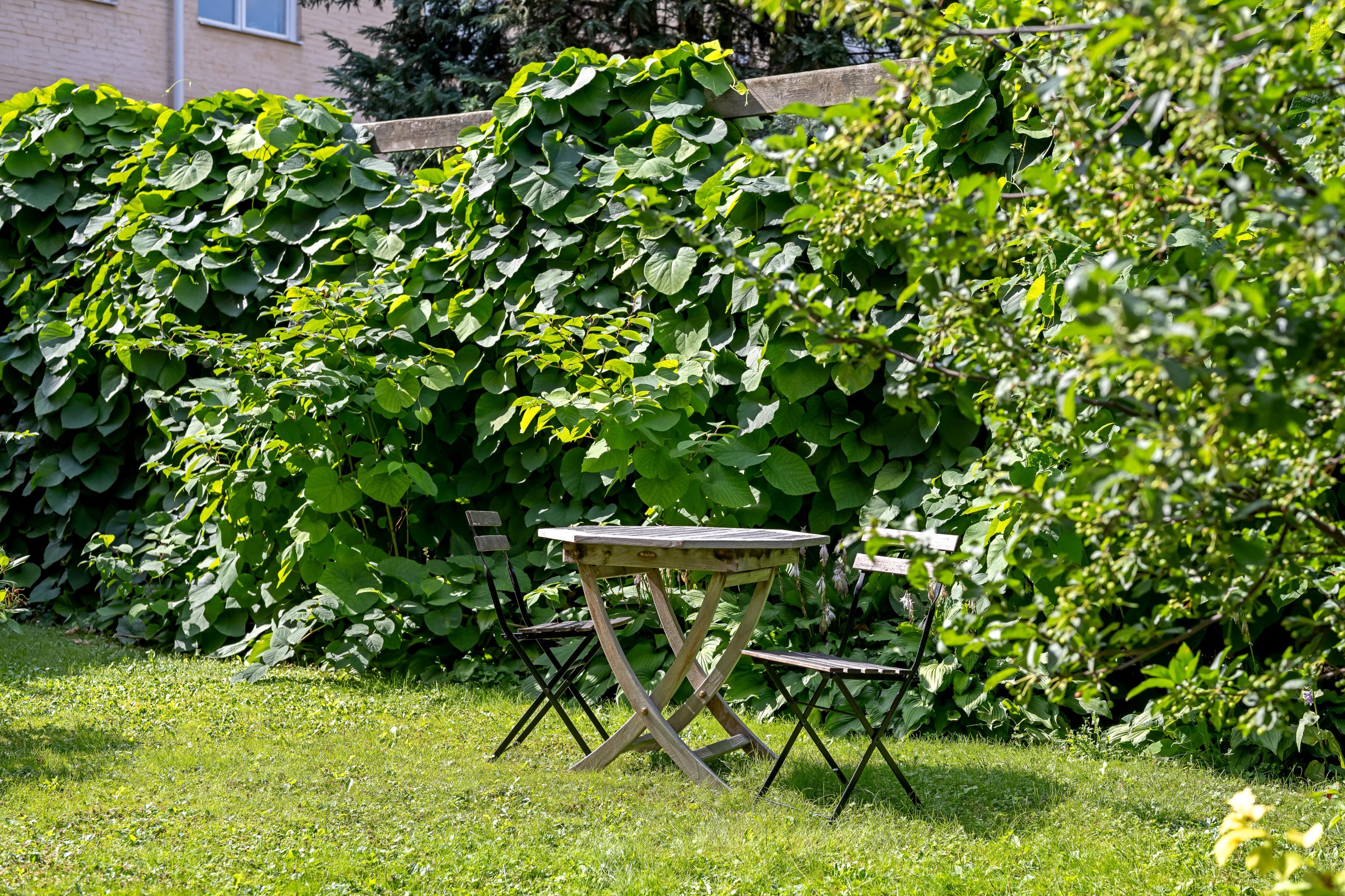Bostadsbild från Munkgatan 5 A, Kommande i Centrum, Uppsala
