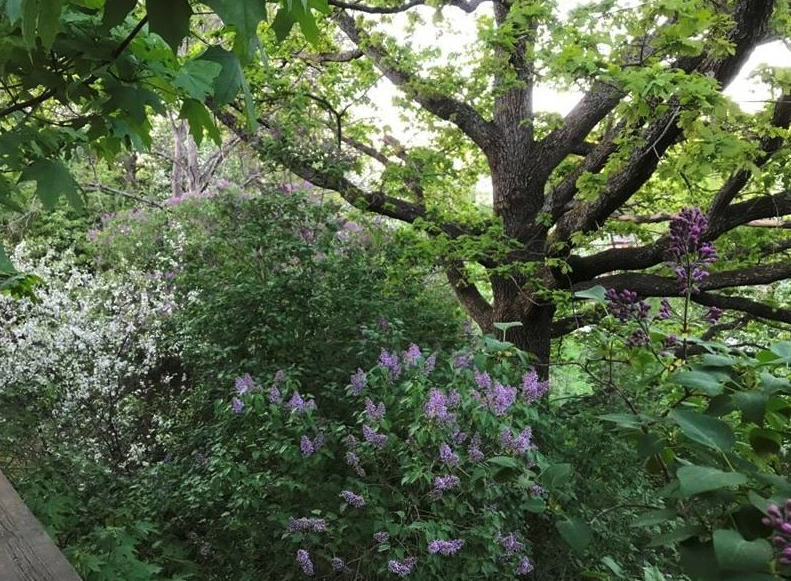 Bostadsbild från Mariagatan 4, Såld i Gustavsberg - Hästhagen, Värmdö