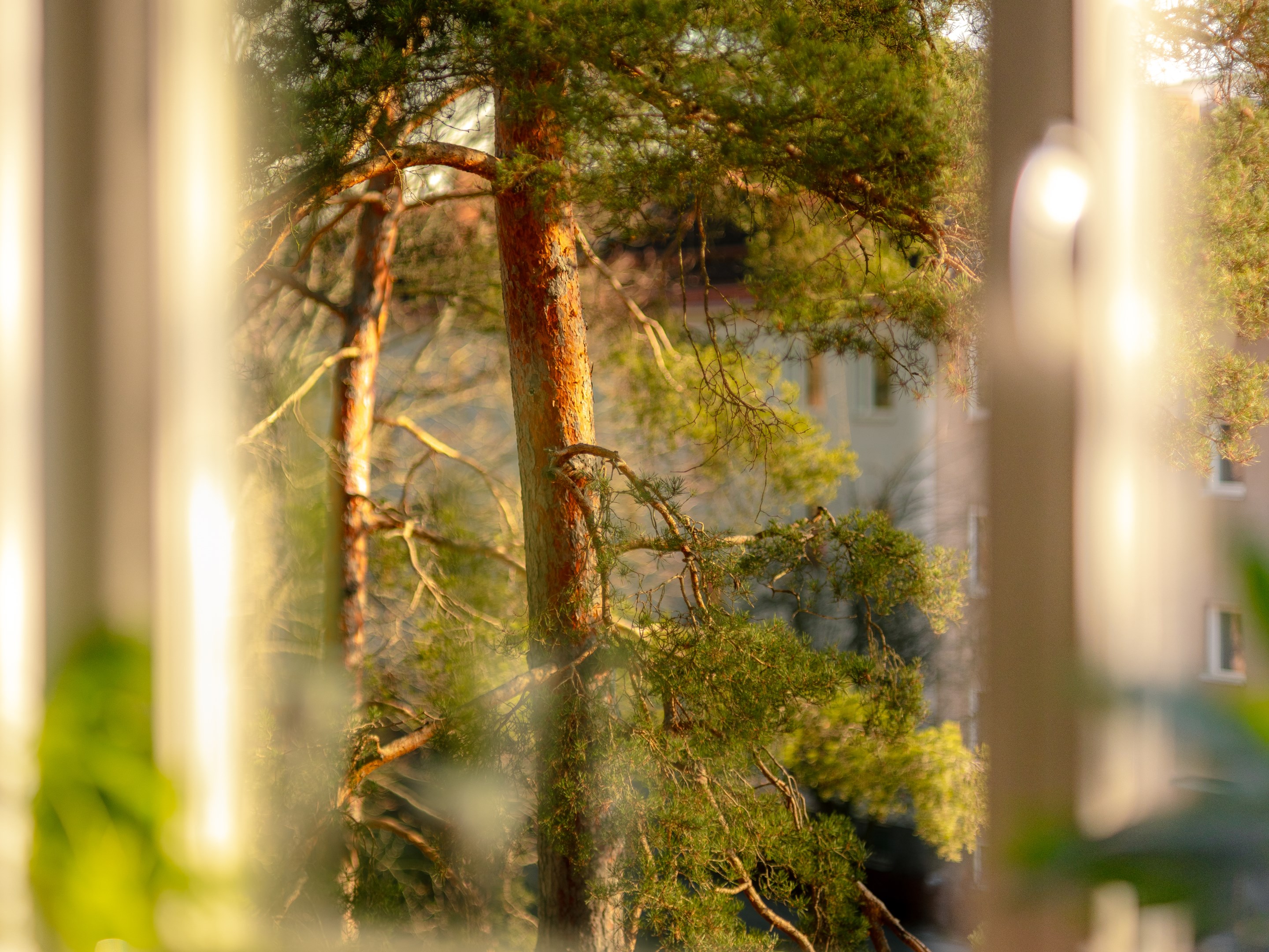 Bostadsbild från Elsa Borgs gata 62, Till salu i Fruängen, Stockholm