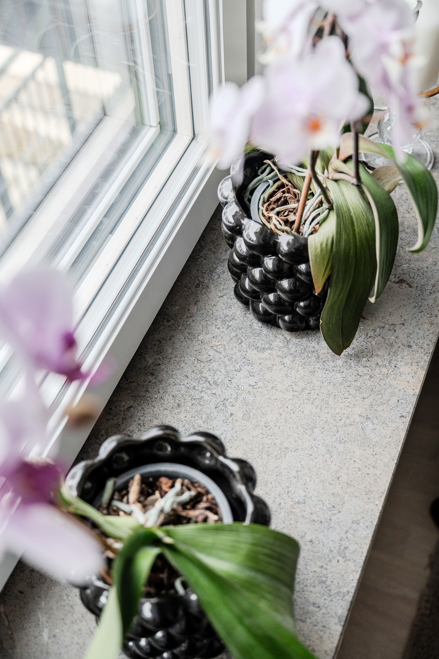 Bostadsbild från Kryddblandargatan 11, Kommande i Centrum, Uppsala