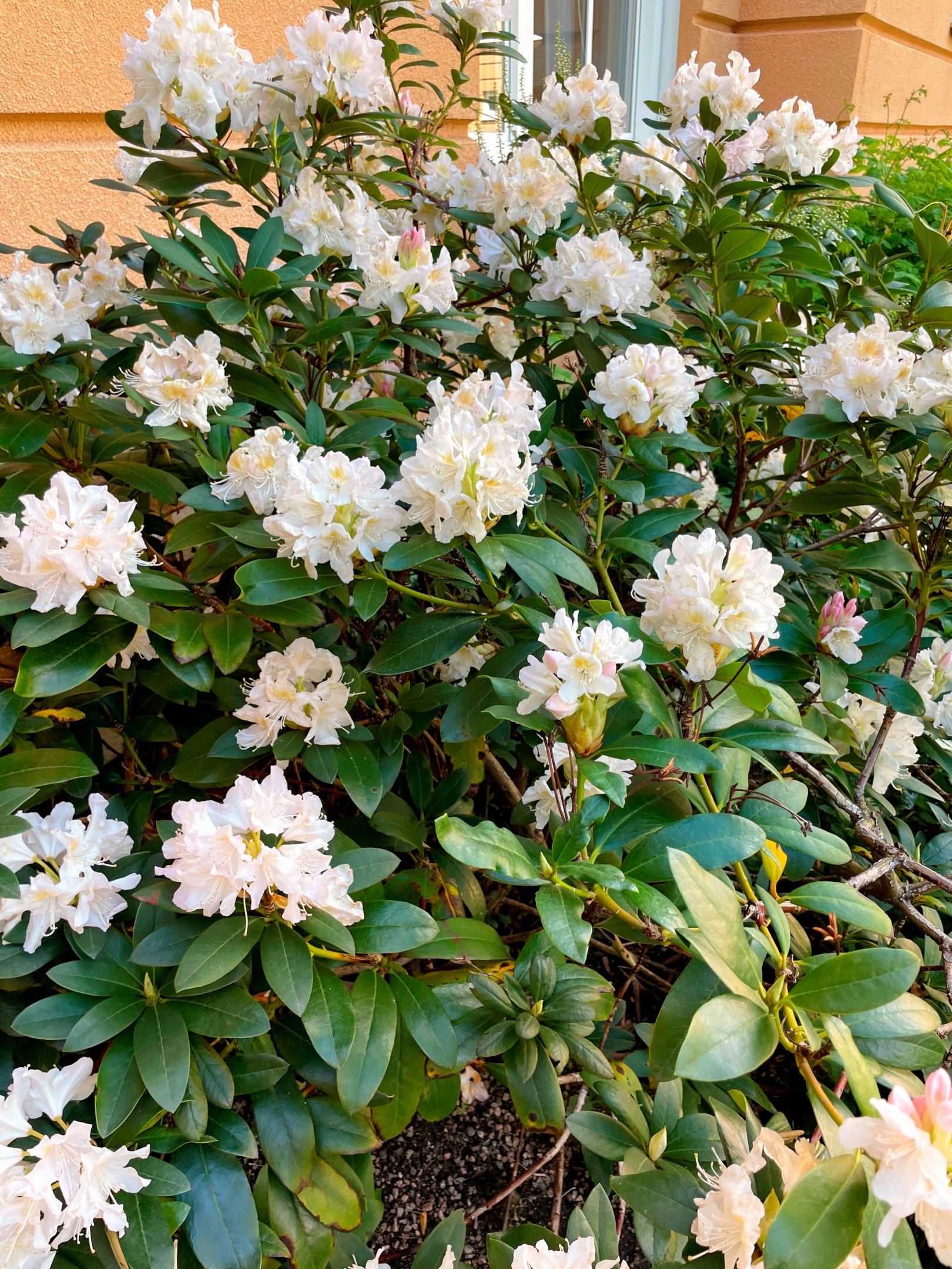 Bostadsbild från Ulleråkersvägen 68, Såld i Ulleråker, Uppsala