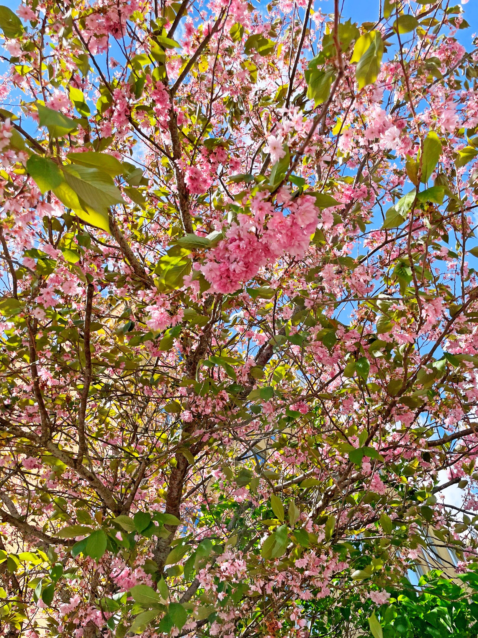 Bostadsbild från Ulleråkersvägen 68, Såld i Ulleråker, Uppsala