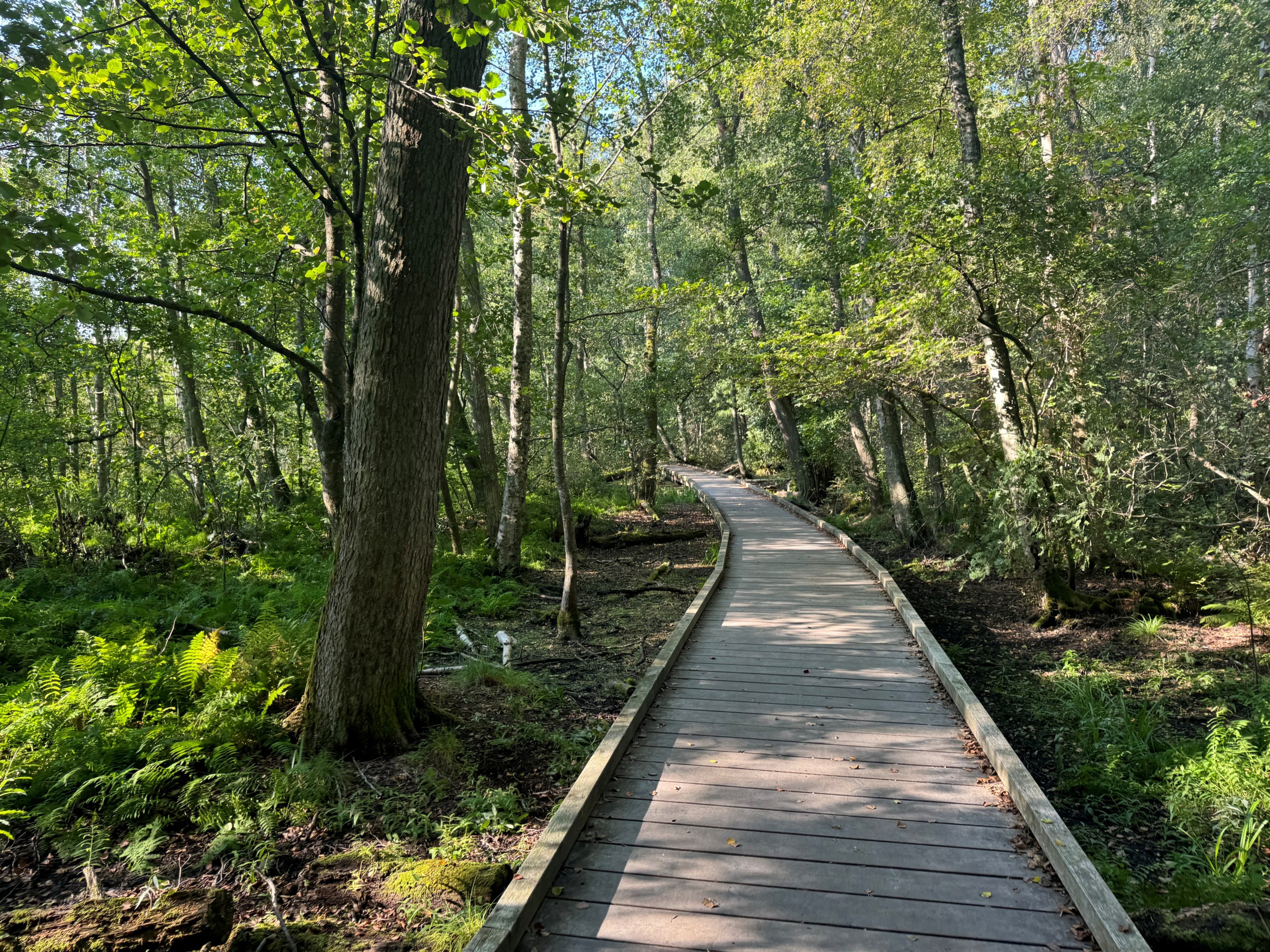 Bostadsbild från Spångavägen 41, Till salu i Bromma - Riksby, Stockholm