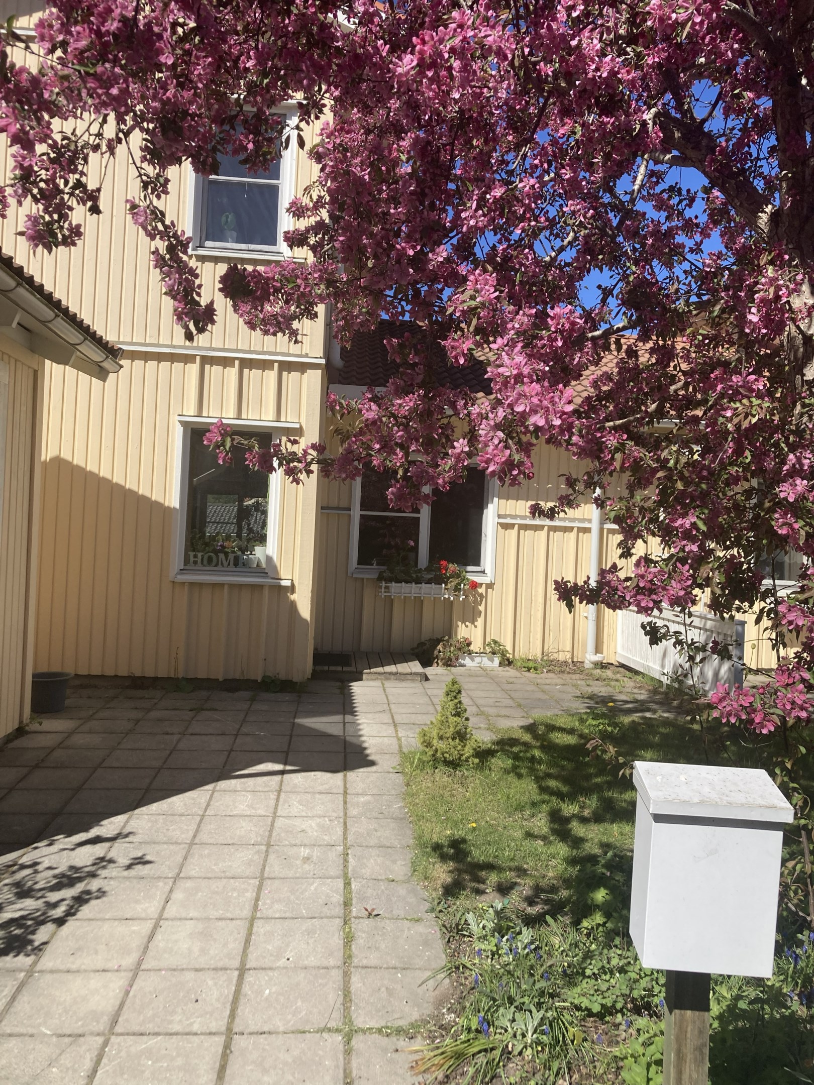 Säljarens bilder