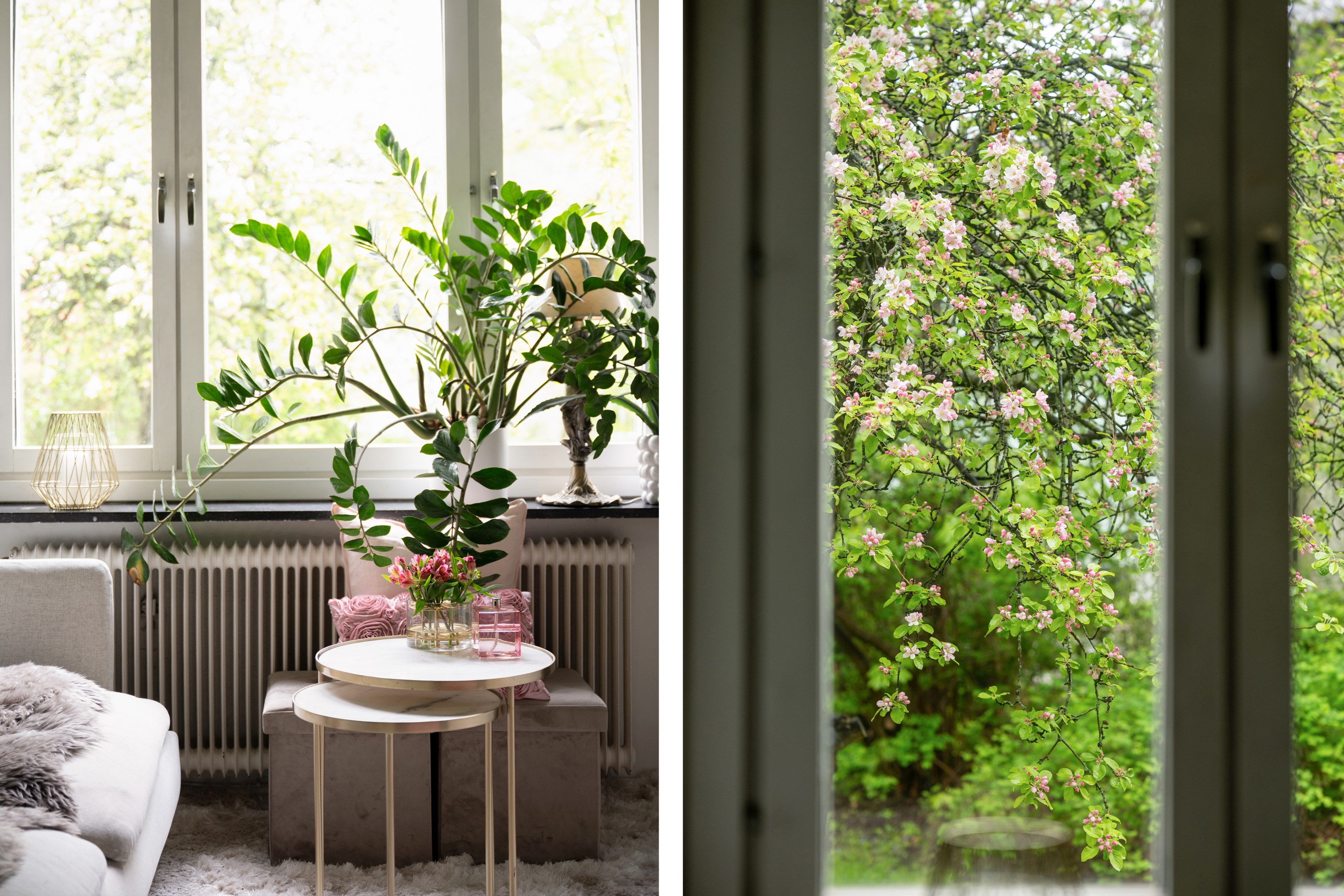 Bostadsbild från Råsundavägen 61, Kommande i Råsunda, Solna