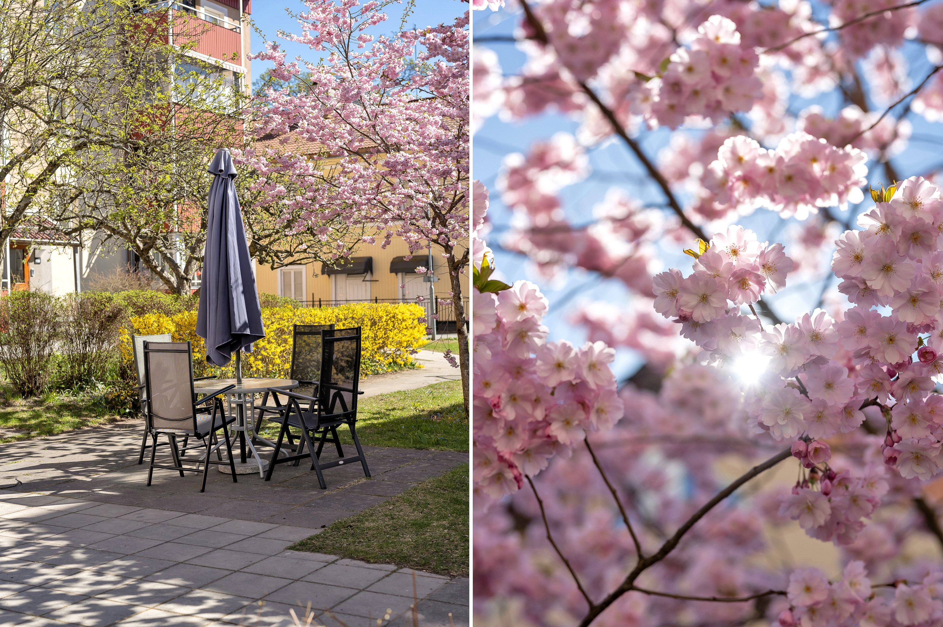 Bostadsbild från Salagatan 19B, Kommande i Höganäs, Uppsala