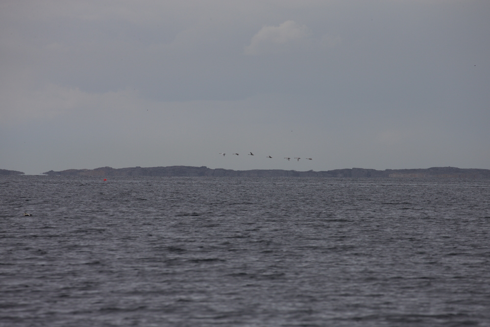 Capri - mest stämningsfulla plats.