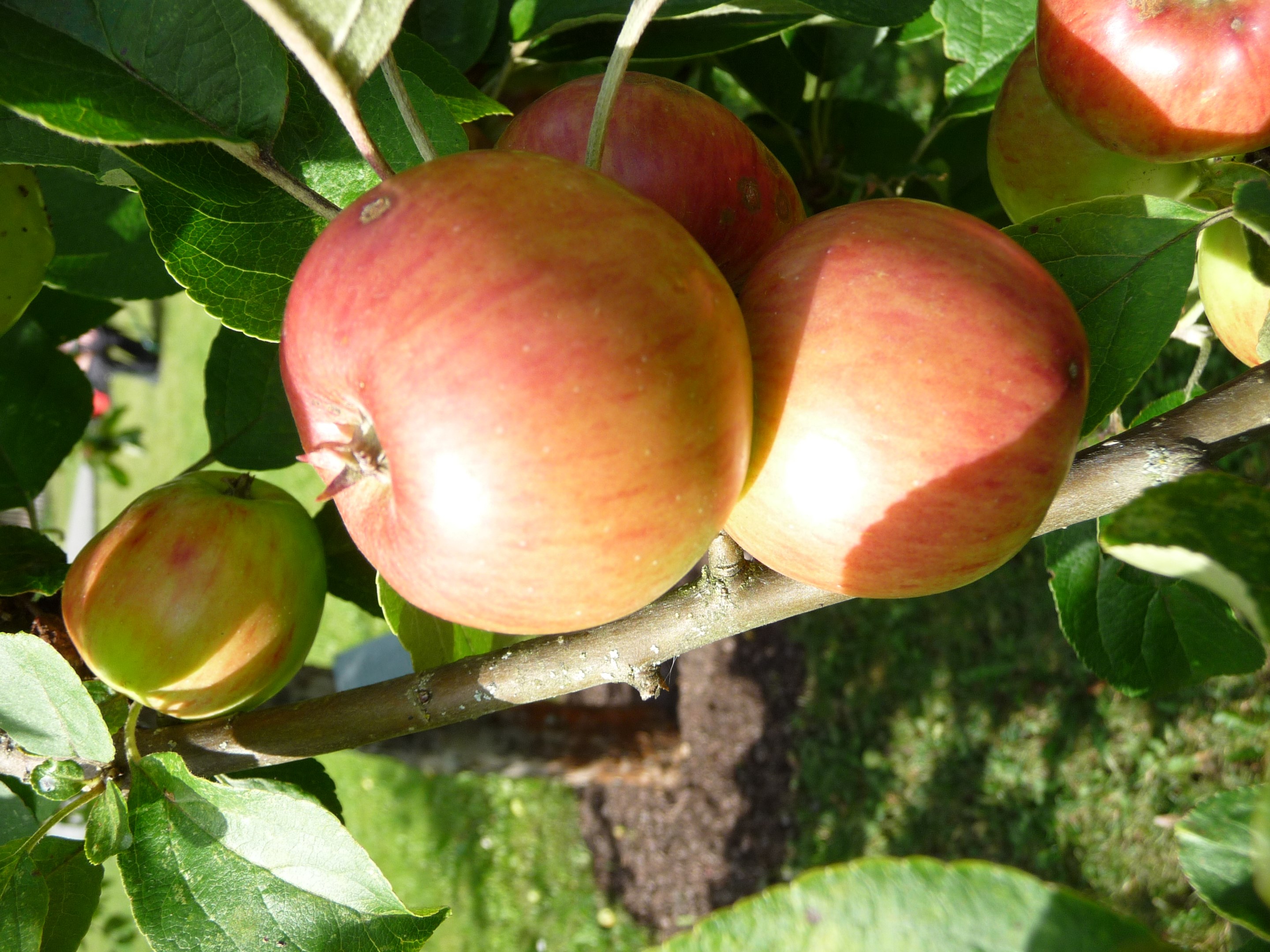 Bostadsbild från Råstensby Fågelsången 6, Såld i Råstensby Fågelsången, Uppsala