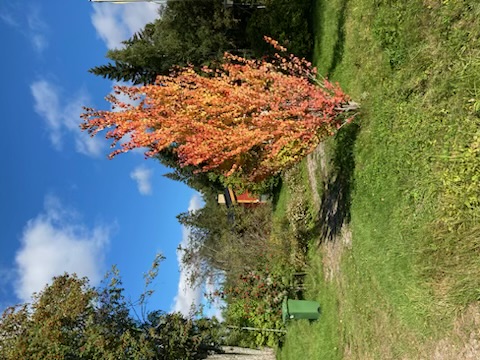 Bostadsbild från Gustavsbo 216, Såld i Lövstabruk, Tierp