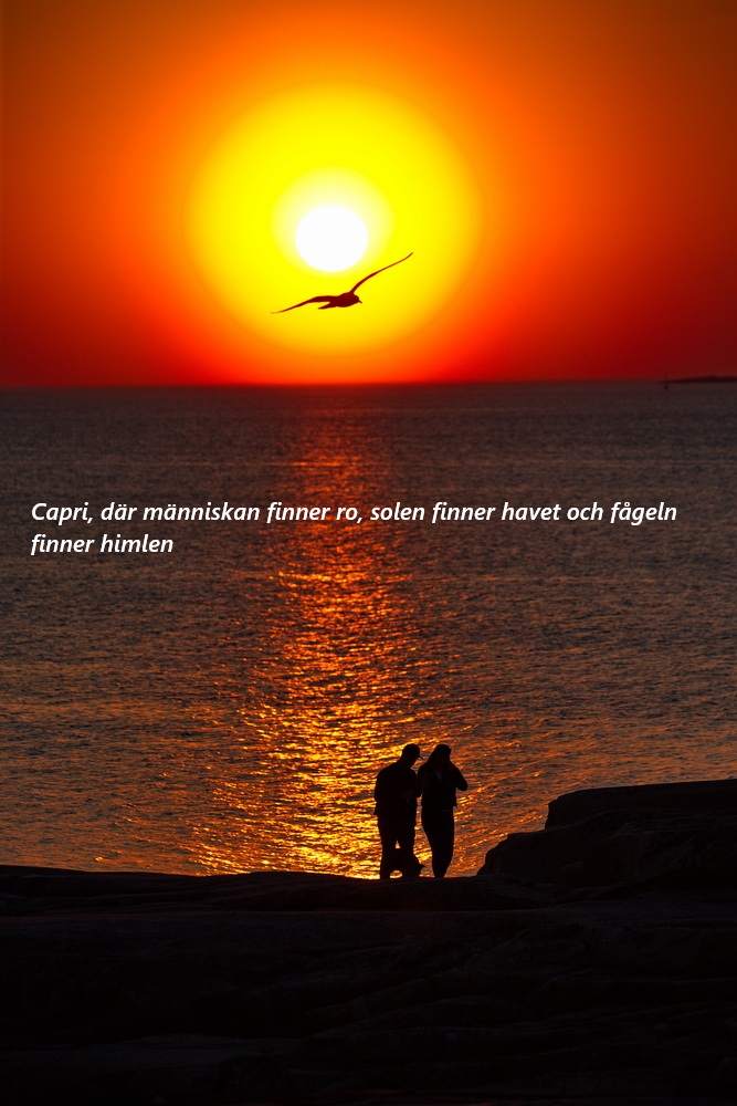 Capri, där människan finner ro, solen finner havet och fågeln finner himlen