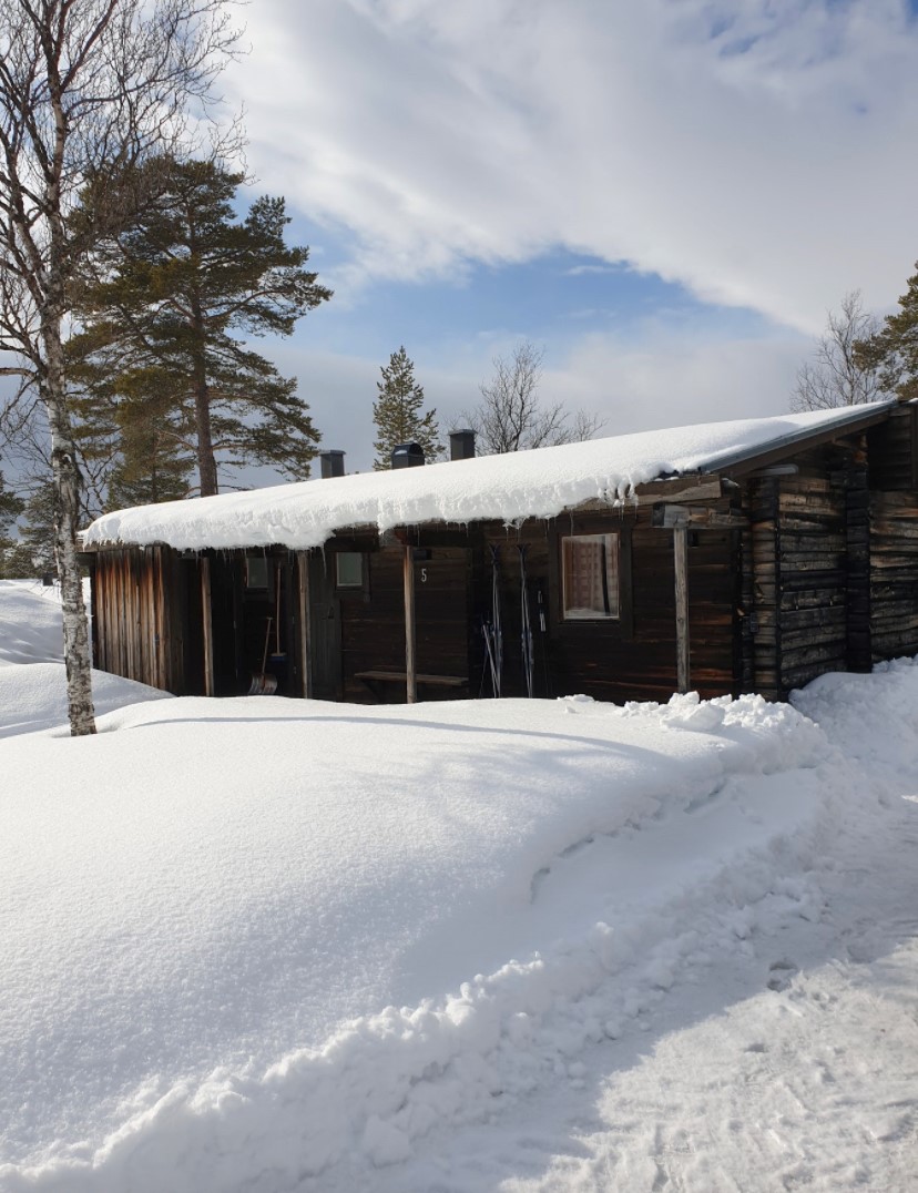 Arkitekten Ralph Erskine