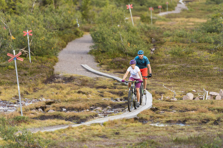 Kungsleden Högfjället