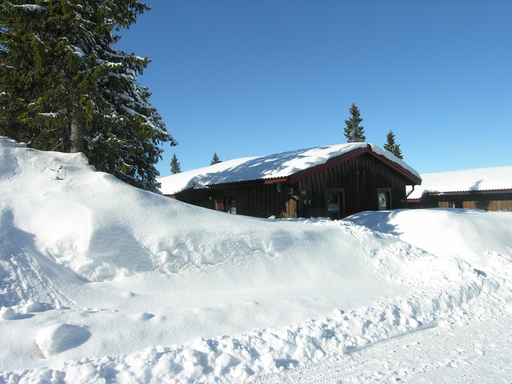 Riktig vinter med sol & snö