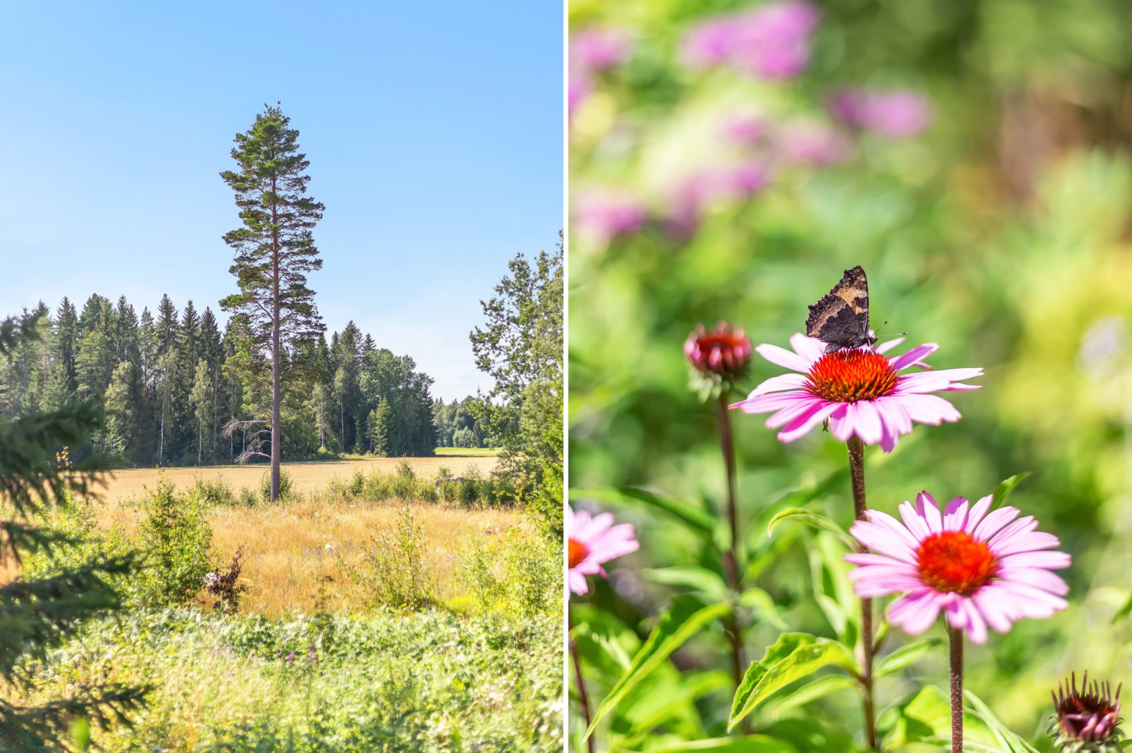 Bostadsbild från Fäxboda 24, Såld i Fäxboda, Uppsala
