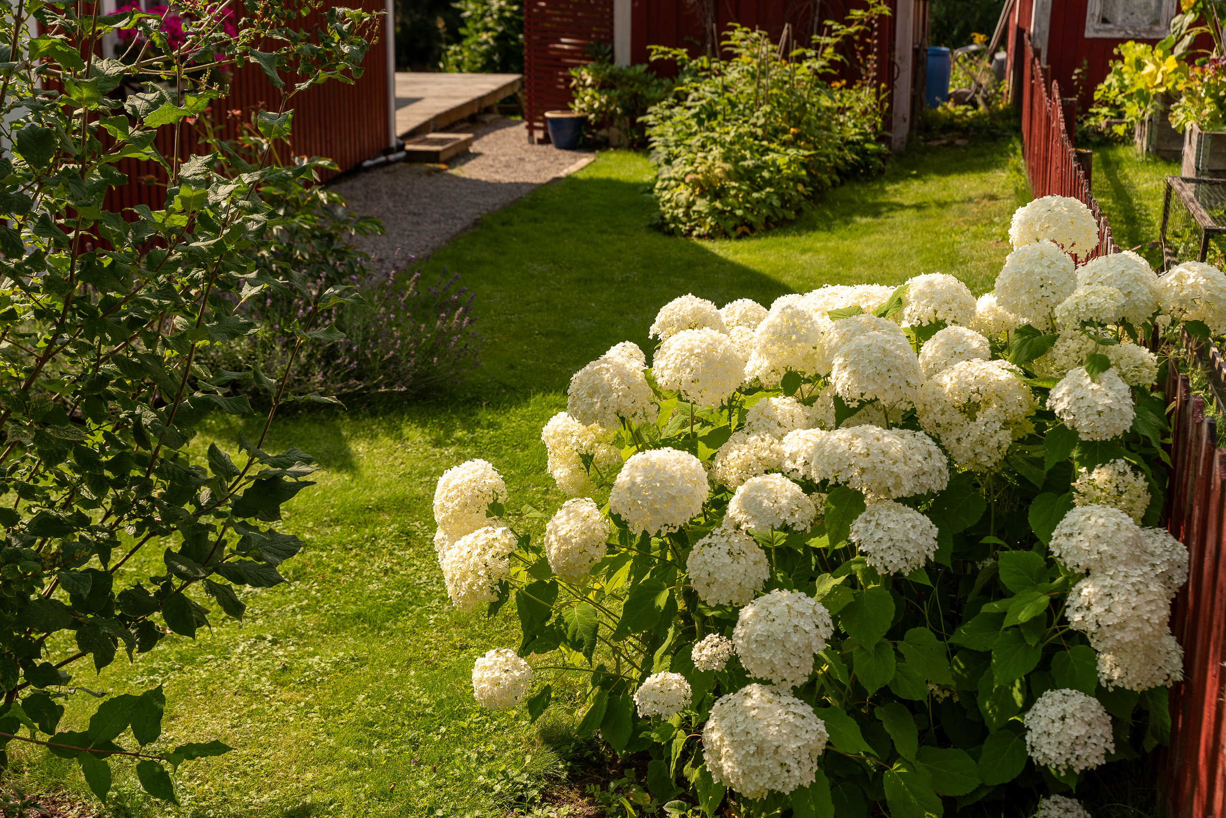Bostadsbild från Kolonivägen 35, Såld i Biskopsängen, Västerås