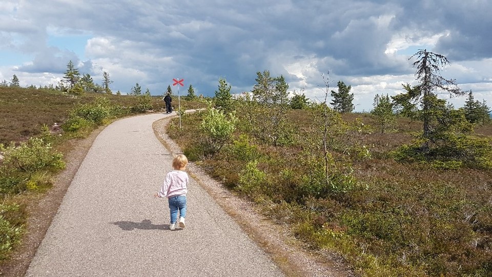Att kunna vandra, gå