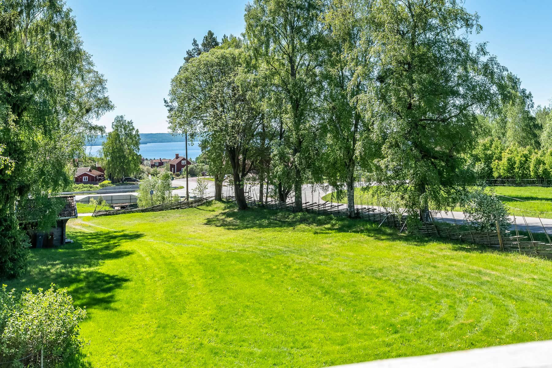 Utsikt från tomten