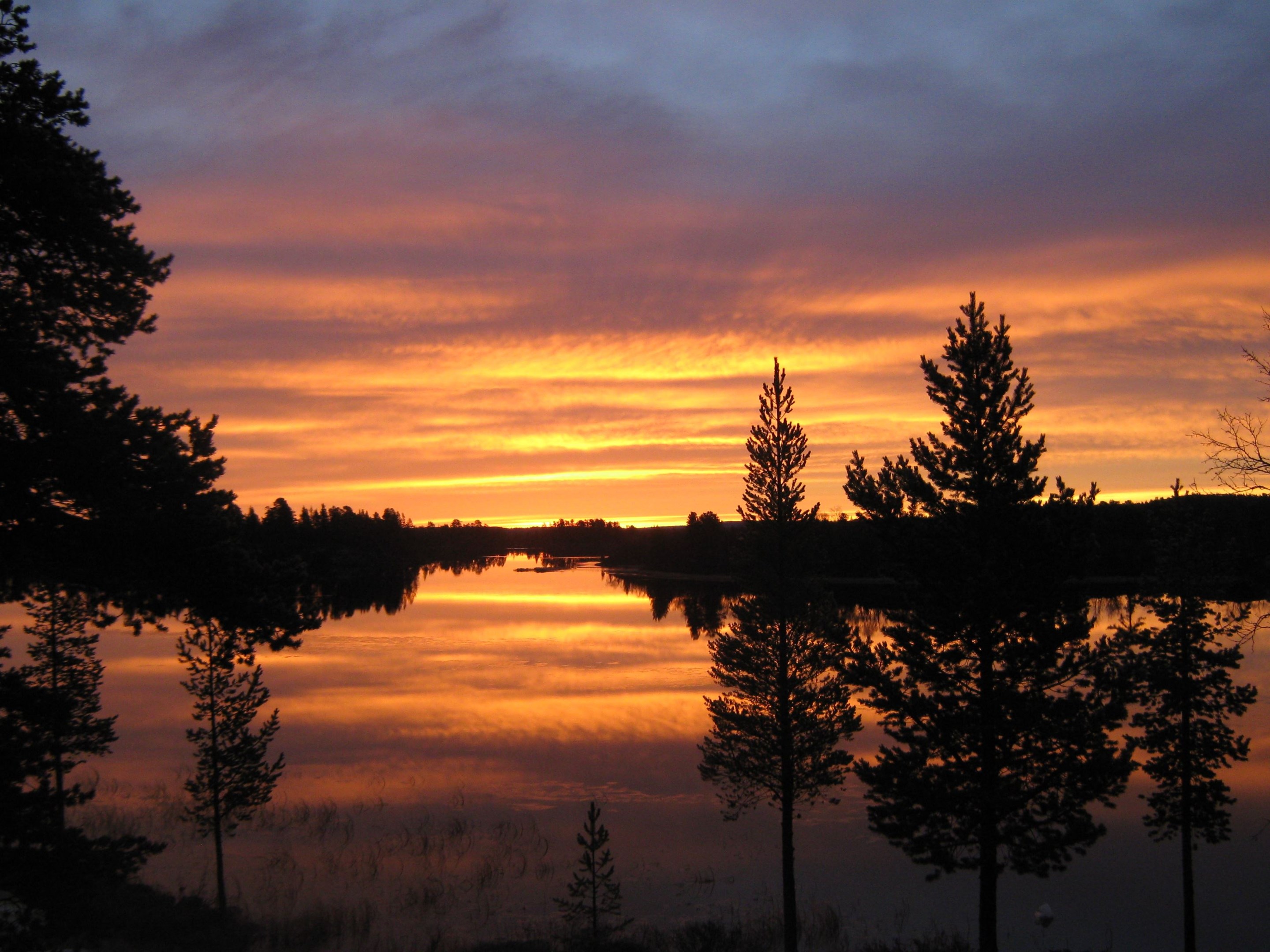 Skydda det naturliga, avvisa det konstgjorda