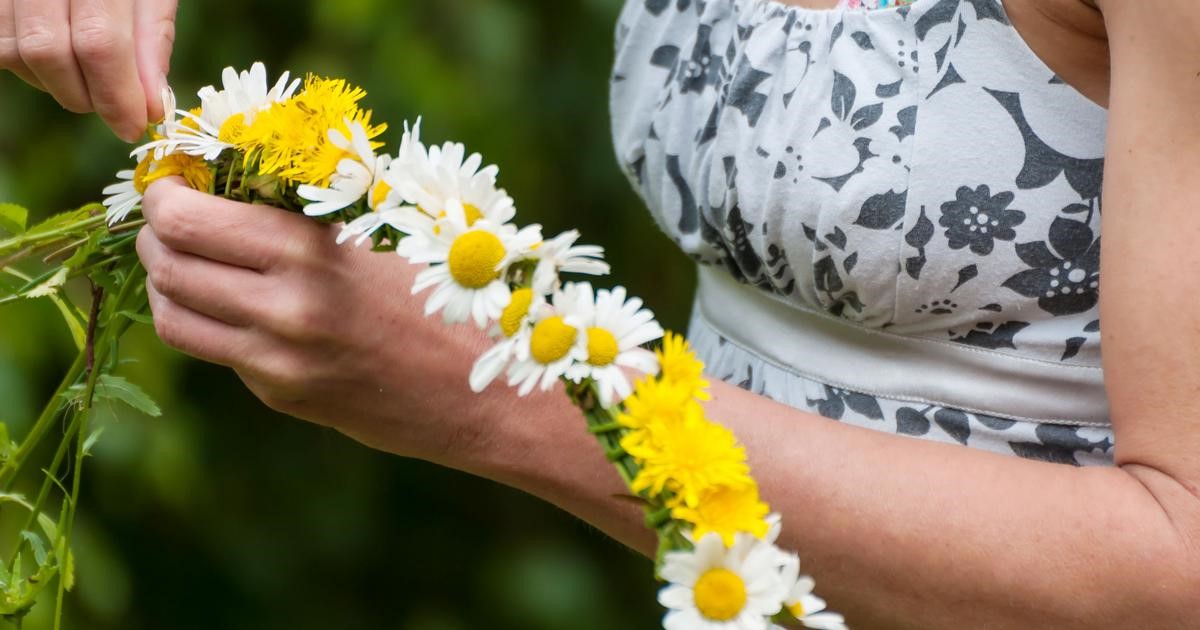 Midsommar Funäsfjällen