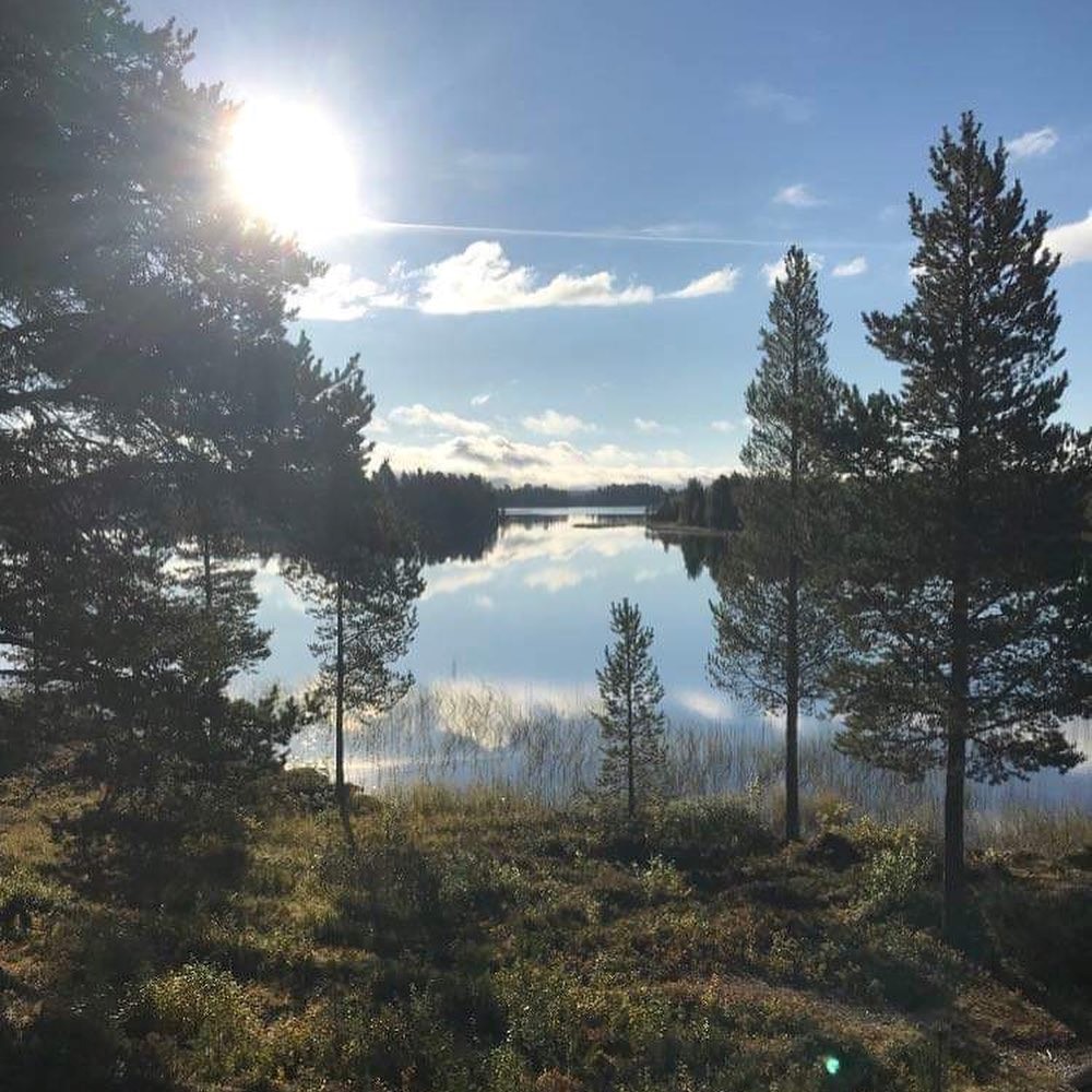 Tillbaka till naturen